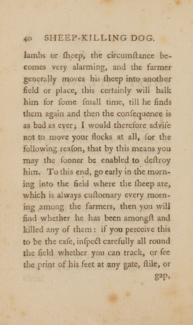 lambs or fheep, the circumftance be- comes very alarming, and the farmer generally moves his {heep into another field or place, this certainly will balk him for fome {mall time, till he finds them again and then the confequence is as bad as ever; I would therefore advifle not to move your flocks at all, for the following reafon, that by this means you may the fooner be enabled to deftroy him. To this end, go early in the morn- _ - ing inte the field where the theep are, which is always cuftomary every morn- ing among the farmers, then you will find whether he has been amongft and killed any of them: if you perceive this to be the cafe, infpect carefully all round the field whether you can track, or fee the print of his feet at any gate, flile, or S4Ps