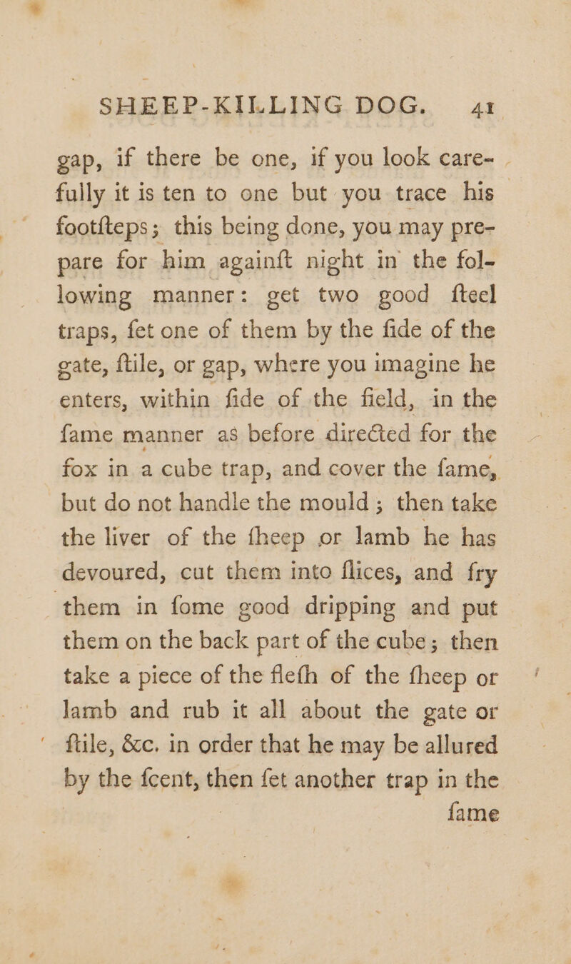 gap, if there be one, if you look care- | fully it is ten to one but you trace his footfteps; this being done, you may pre- pare for him againft night in the fol- lowing manner: get two good fteel traps, fet one of them by the fide of the gate, ftile, or gap, where you imagine he enters, within fide of the field, in the fame manner as before directed for the fox in a cube trap, and cover the fame, but do not handle the mould; then take the liver of the fheep or lamb he has devoured, cut them into flices, and fry them in fome good dripping and put them on the back part of the cube; then take a piece of the flefh of the fheep or Jamb and rub it all about the gate or flule, &amp;c. in order that he may be allured by the fcent, then fet another trap in the fame