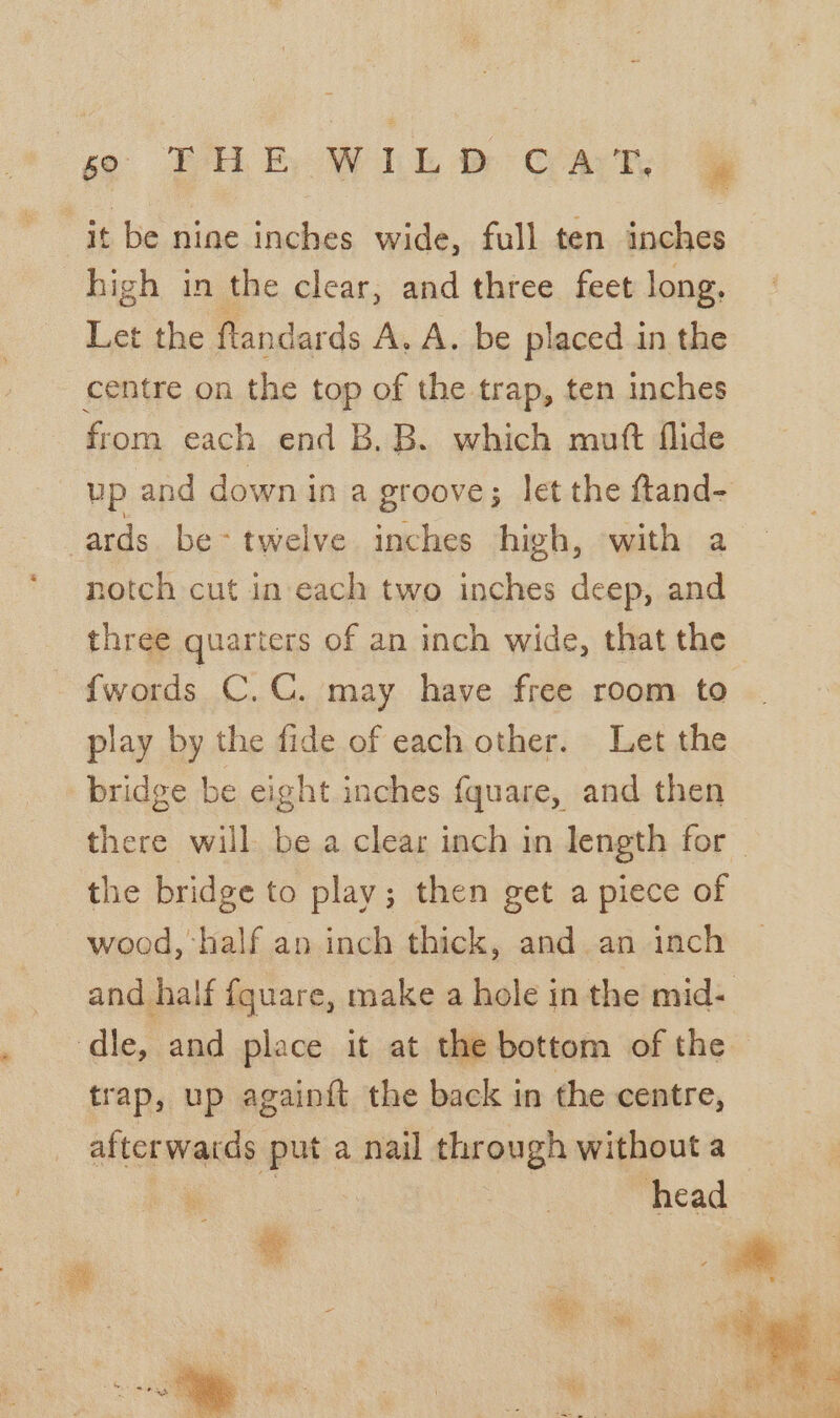 6 ENE WILL? Cat, | it be nine inches wide, full ten inches high in the clear, and three feet long, Let the ftandards A. A. be placed in the centre on the top of the trap, ten inches fr om each end B, B. which mutt flide up and down in a groove; let the ftand- ards be- twelve inches high, with a notch cut in each two inches deep, and three quarters of an inch wide, that the {words C.C. may have free room to play by the fide of each other. Let the bridge be eight inches {quare, and then there will be a clear inch in length for the bridge to play; then get a piece of wood, half an inch thick, and an inch and half {quare, make a hole in the mid- dle, and place it at the bottom of the trap, up againft the back in the centre, afterwards put a nail through without a head