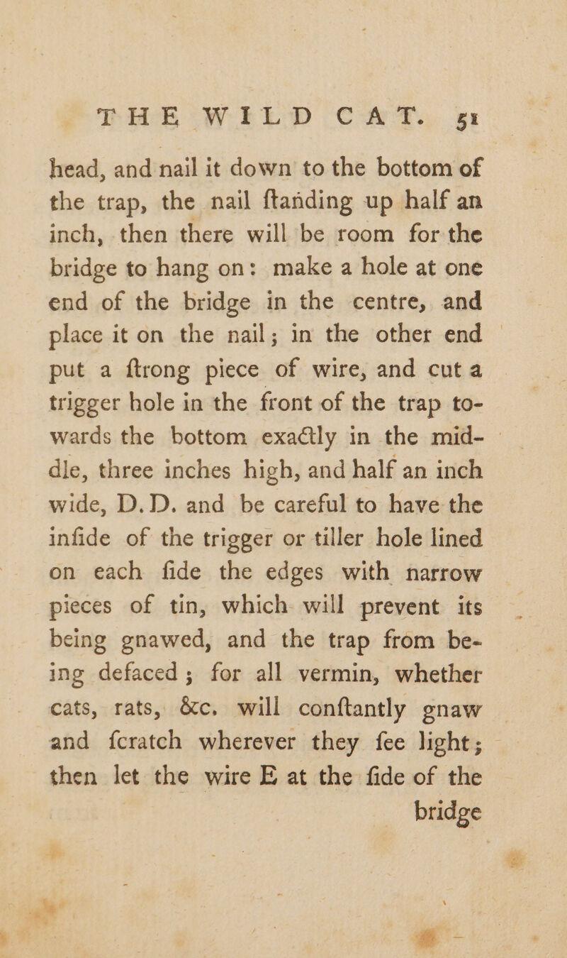 head, and nail it down to the bottom of the trap, the nail ftanding up half an inch, then there will be room for the bridge to hang on: make a hole at one end of the bridge in the centre, and put a ftrong piece of wire, and cut a trigger hole in the front of the trap to- dle, three inches high, and half an inch wide, D.D. and be careful to have the infide of the trigger or tiller hole lined on each fide the edges with narrow pieces of tin, which will prevent. its being gnawed, and the trap from be- ing defaced; for all vermin, whether cats, rats, &amp;c, will conftantly gnaw then let the wire E at the fide of the bridge ia 4 Fs
