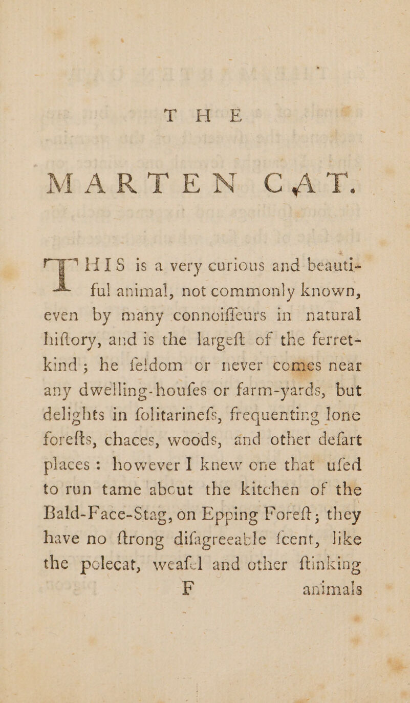 FORE HIS is a very curious and beauti- ful animal, not commonly known, even by many connoiffeurs in natural hiftory, and is the largeft of the ferret- kind; he feldom or never comes neat any dwelling-houfes or farm-yards, but delights in folitarinefs, frequenting lone forefts, chaces, woods, and other defart to run tame abcut the kitchen of the Bald-Face-Stag, on Epping Foretft, they have no ftrong difagreeable {cent, like the polecat, weafel and other ftinking
