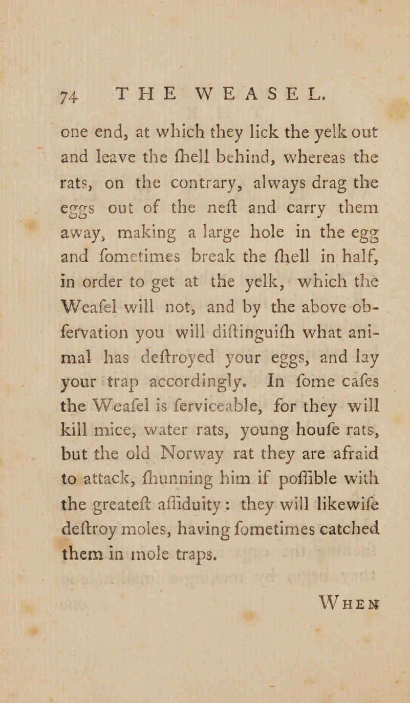 m THE WEHASE L one end, at which they lick the yelk out and leave the fhell behind, whereas the rats, on the contrary, always drag the eres out of the neft and carry them away, making a large hole in the egg and fometimes break the fhell in half, in order to get at the yelk, which the Weafel will not, and by the above ob- | fervation you will diftinguifth what ani- mal has deftroyed your eggs, and lay your ‘trap accordingly. In fome cafes _ the Weafel is ferviceable, for they. will kill mice, water rats, young houfe rats, but the old Norway rat they are afraid to attack, fhunning him if poffible with the greateft afliduity: they will likewife deftroy moles, having fometimes catched. ‘them in mole traps.