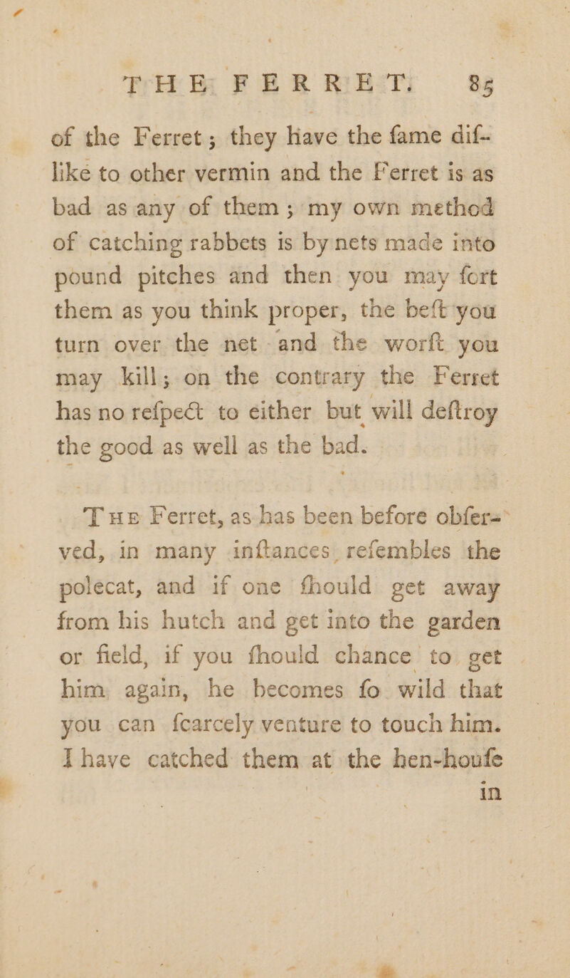 of the Ferret; they Have the fame dif- like to other vermin and the Ferret is as bad as any of them; my own method of catching rabbets is by nets made into pound pitches and then you may fort them as you think proper, the be{t you turn over the net and the worft you may kill; on the contrary the Ferret has no refpedt to either but will deftroy the good as well as the bad. T ue Ferret, as has been before obfer= ved, in many inftances refembles the polecat, and if one fhould get away from his hutch and get into the garden or field, if you fhould chance to get him, again, he becomes fo. wild that you can f{carcely venture to touch him. Ihave catched them at the hen-houfe | in