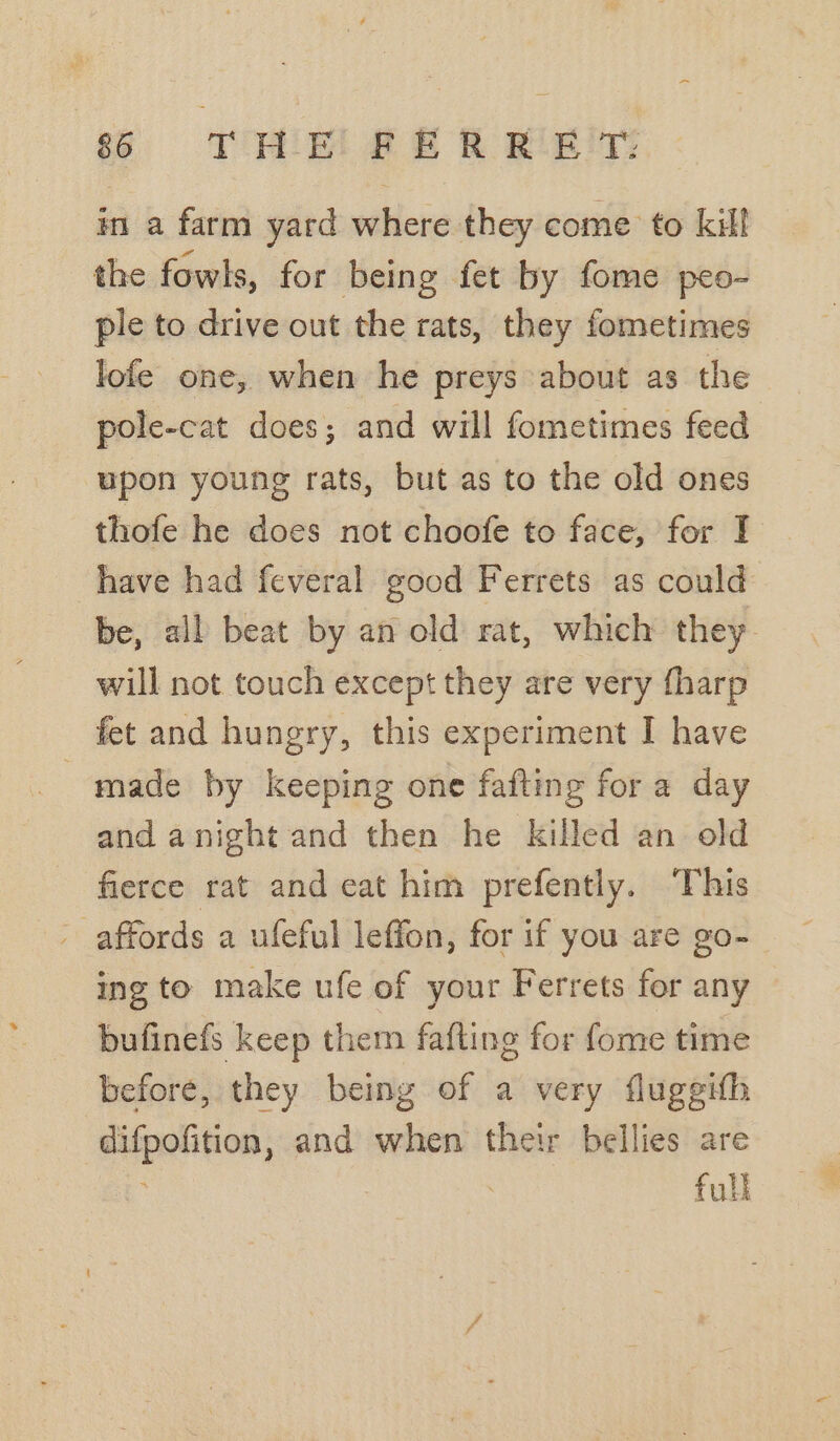 86 THE #£ER FEY im a farm yard where they come to kill the fowls, for being fet by fome peo-~ ple to drive out the rats, they fometimes lofe one, when he preys about as the pole-cat does; and will fometimes feed upon young rats, but as to the old ones thofe he does not choofe to face, for I have had feveral good Ferrets as could be, all beat by an old rat, which they will not touch except they are very fharp fet and hungry, this experiment I have made by keeping one fafting for a day and anight and then he killed an old fierce rat and eat him prefently. This - affords a ufeful leffon, for if you are go- ing to make ufe of your Ferrets for any bufinefs keep them fafting for fome time before, they being of a very fluggifh difpofition, and when their bellies are ; full