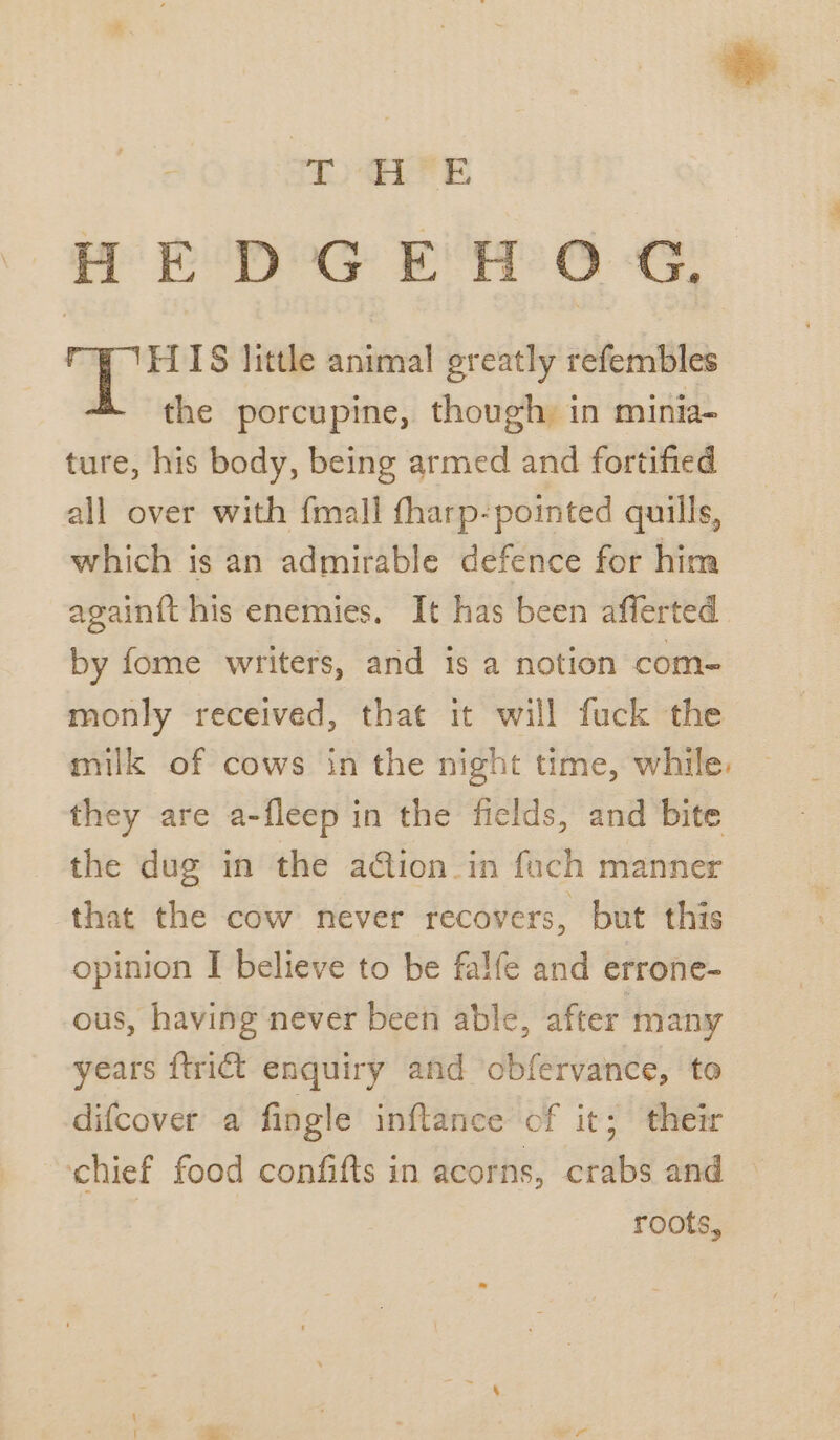 HEDGEHOG, HIS little animal greatly refembles the porcupine, though in minia- ture, his body, being armed and fortified all over with {mall fharp-pointed quills, which is an admirable defence for him again{t his enemies. It has been afferted by fome writers, and 1s a notion com- monly received, that it will fuck the milk of cows in the night time, while: they are a-fleep in the fields, and bite the dug in the aGion in foch manner that the cow never recovers, but this opinion I believe to be falfe and errone- ous, having never been able, after many years trict enquiry and obfervance, to difcover a fingle inftance of it; their chief food confifts in acorns, crabs and — | roots,