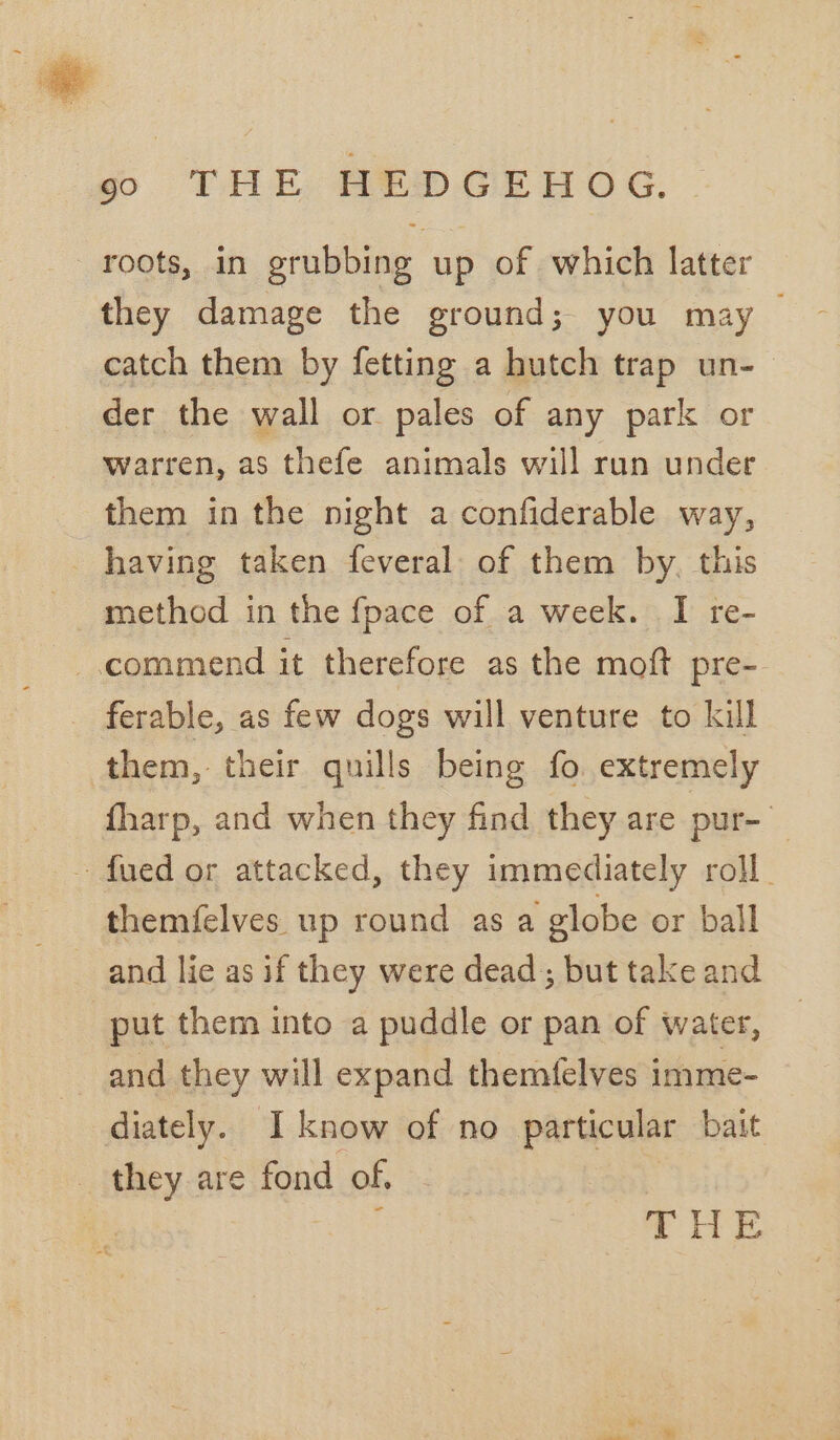 6 THE HEDGEHOG. roots, in grubbing up of which latter they damage the ground; you may — catch them by fetting a hutch trap un- der the wall or pales of any park or warren, as thefe animals will run under them in the night a confiderable way, having taken feveral. of them by, this method in the fpace of a week. I re- commend it therefore as the moft pre- _ ferable, as few dogs will venture to kill them, their quills being fo extremely fharp, and when they find they are pur- — ~ fued or attacked, they immediately roll. and lie as if they were dead; but take and put them into a puddle or pan of water, and they will expand themfelves imme- diately. I know of no particular bait _ they are fond of, | Se tes SHE