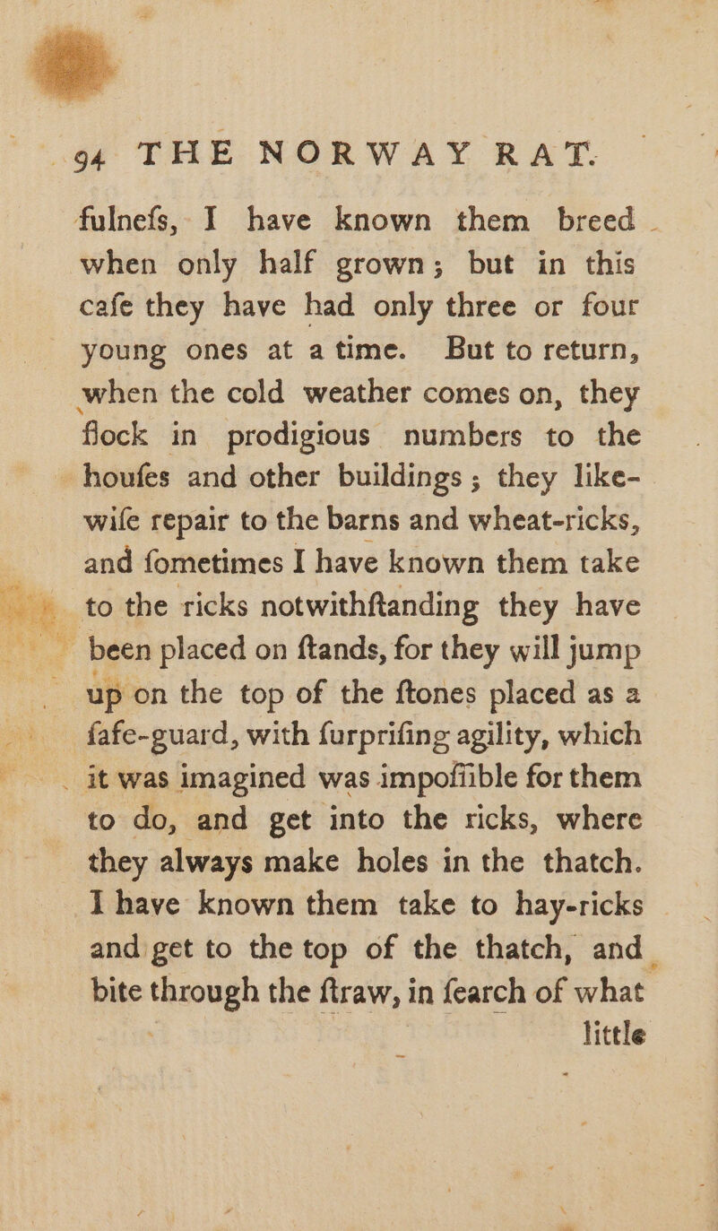 fulnefs, I have known them breed ~ when only half grown; but in this cafe they have had only three or four young ones at atime. But to return, when the cold weather comes on, they flock in prodigious numbers to the - houfes and other buildings ; they like- wile repair to the barns and wheat-ricks, and fometimes I have known them take 2 up on the top of the ftones placed as a _ fafe-guard, with furprifing agility, which _ it was imagined was impofiible for them to do, and get into the ricks, where they always make holes in the thatch. I have known them take to hay-ricks and get to the top of the thatch, and_ bite through the ftraw, in fearch of what ' | little