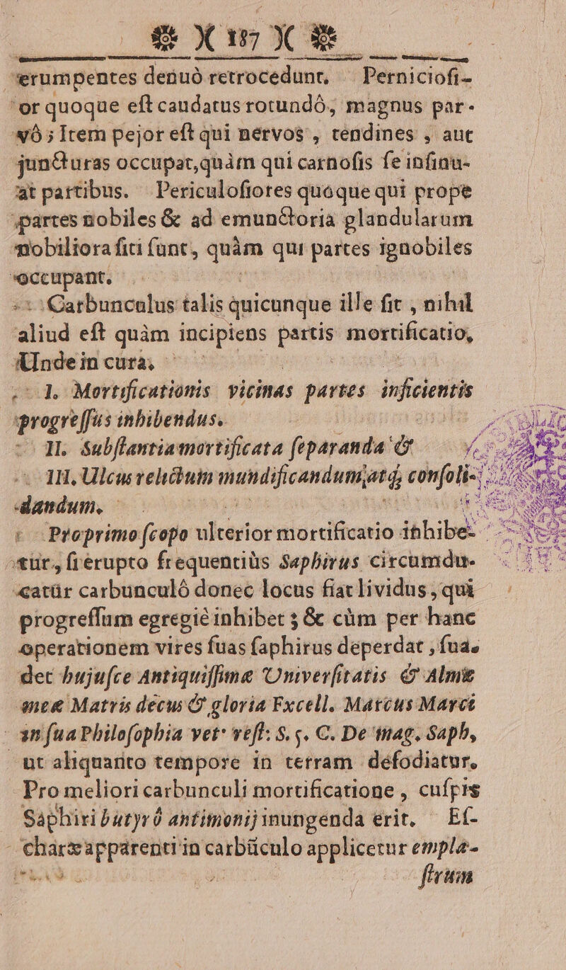 | | $XmXT | *erumpentes tes denuó retrocedunr, Perniciofi- 'er quoque eft candatus rotundó, magnus par- «5 ; Item pejor eft qui nérvos , setdened $ ant jun&amp;huras occupat, quàm qui carnofis fe infinu- at partibus. Periculoftores quoque qui prope ,partes nobiles &amp; ad emunctoria plandularum mobiliorafiti (unt, TM qui partes opes : aao -:Qarbuncalus talis quicunque ille fit , nihil aliud eft quàm. incipiens at mortificatio, inde in cura, .-. Mertificatiomis. vicinas partes infeientis j penes inbibendus. E. dL Sm rto fiptrania * y. ripe ! t Proprimo (copo ukertot uide ibibe. | otür, frerupto frequenriüs Seplirus circumdn- atür carbunculó donec locus fiac lividus qui progreffum egregie inhibet &amp; cüm per hanc operationem vires fuas faphirus deperdat , fuae det bujufce Antiquiffime Onver[itatis &amp; Alm aet Matri decus Q gloria Fxcell. Matéus Maret am fua Philofophia vet* vef: s.s. C. De mag. Saph, ut aliquarito tempore in terram | défodiatur, Pro meliori carbunculi mortificatione , cufpis Saphiributyró antitioni) inungenda erit, Eí- chargapparenti in hei applicerur empla- MEE T fim