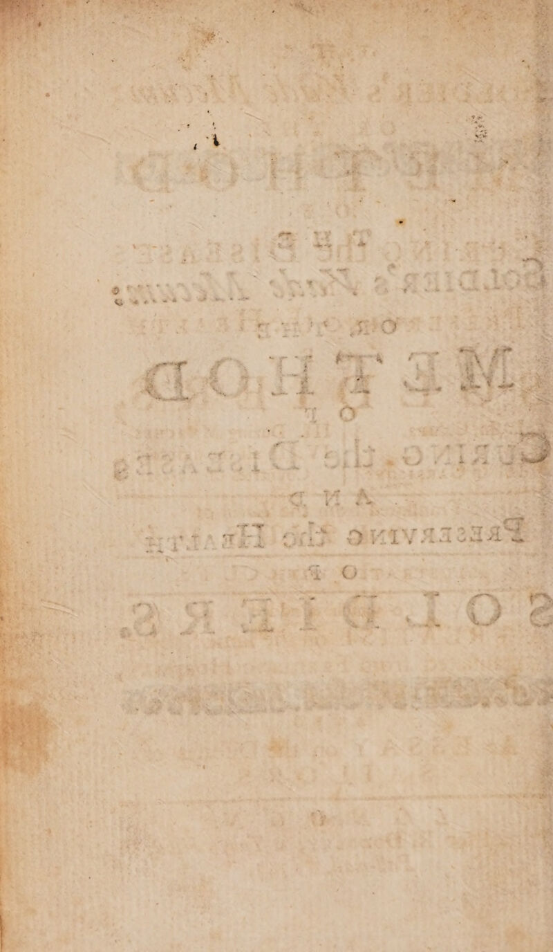 os EA aE odd ovis &lt;P owe La nye = OF ClmE pep aR a &gt; nena tpemnigpeaetipss: erteae re eaheeneritet ei . he ie Hae OF PALLETS ea (iota? ? ae ee sie. a Looe a. : : ‘ ’ . » ‘ 7 5 * ° t ‘ iy — - i Ga 7 si : ‘ . “i @ a ae «i 2 ts bate Th vege meee or or  » @e AR f +? 4 » 2 * “*% ede; ‘ Sas? Be, a iat ca aes ee ie Oho * ae re ‘. a HO ap ns WRN - eee he ot . FS &gt; er ees