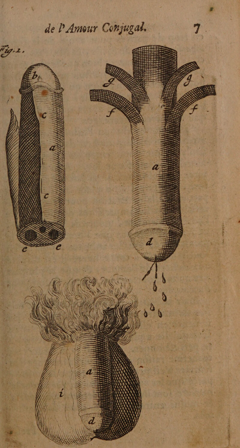 \ \\ NN \ AN NS \ < AN AN NNSNENNTTe \ NV jai x tu NN i | il LA SN NS \ RWeET no ! 4 ci 4 , $ de. ; à