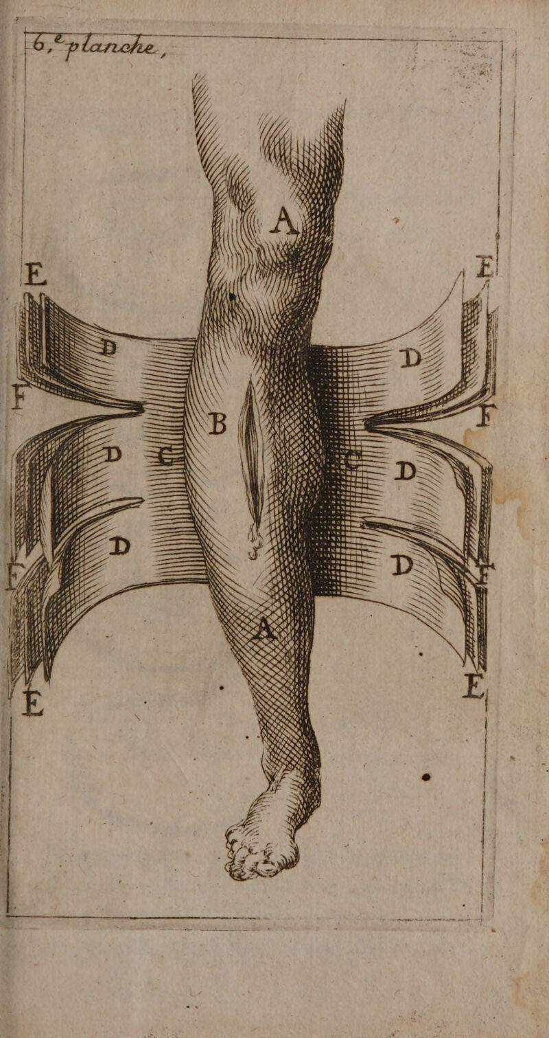 Se SNS SRE + Res , SS SOS SN ne. DT DT RU Re