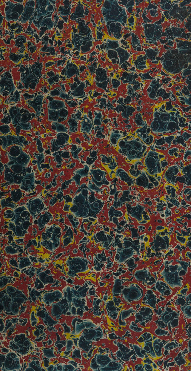 No text description is available for this image