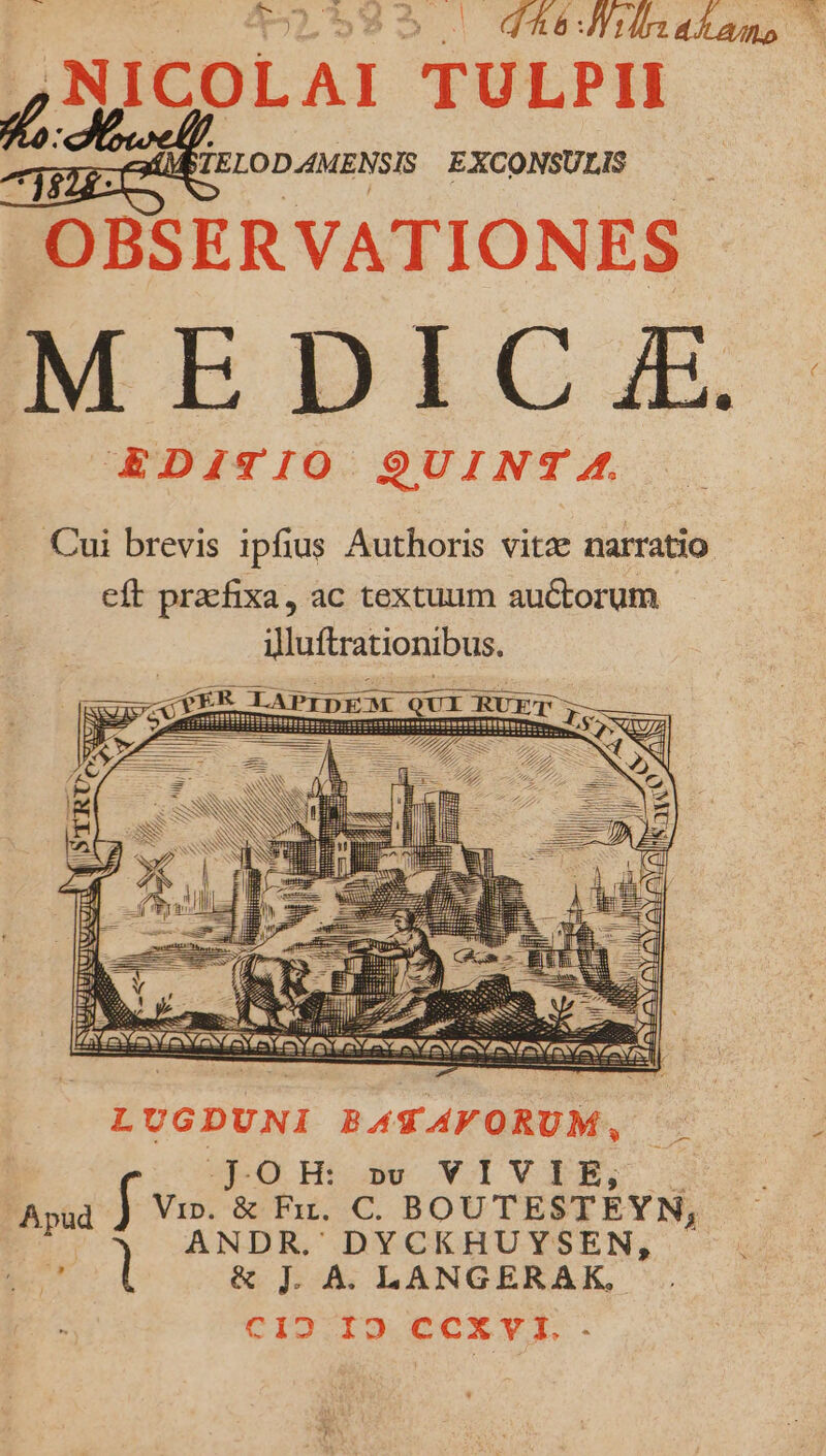 : A52 |^ d: Ari4iamo 7$ TELOD.AMENSIS EXCONSULIS OBSER VATIONES MEDIC f£. EDITIO QUINT 4. LUGDUNI BATAVORUM, . JO H: nv VIV I E; Apud f. &amp;C Ex. C. BOUTESTEYN, ANDR. DYCKHUYSEN, &amp; J. A. LANGERAK, CID Io 6CCXyA