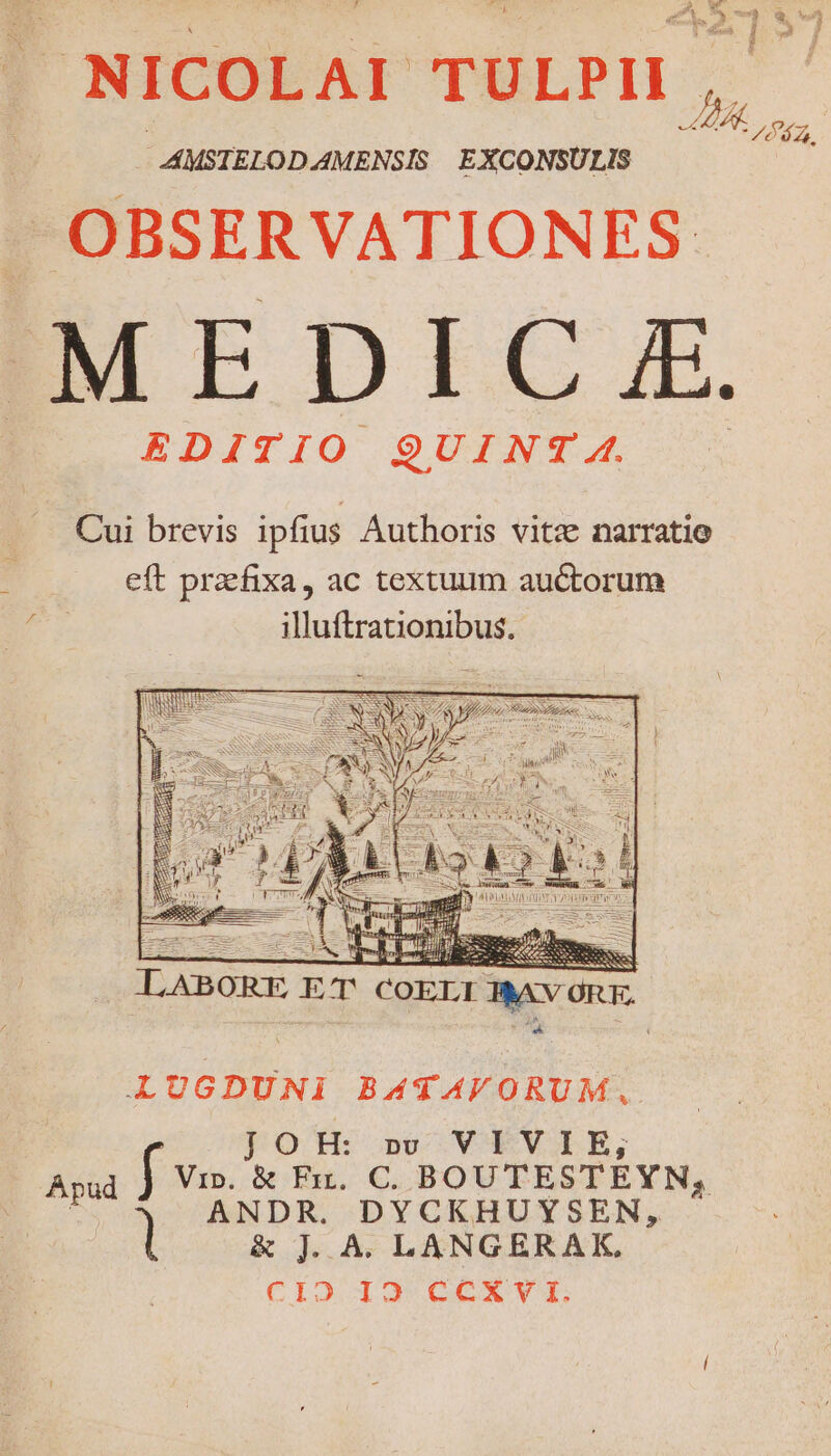 | NICOLAI TULPH. - AMSTELOD AMENSIS EXCONSULIS Bn MEDIC £ EDITIO QUINT 4. grehrmE ET COELI D A NT BATAVORUM. pO TH ons wFWELE, Apud f vs. &amp; Fr. C. BOUTESTEYN, ANDR. DYCKHUYSEN, &amp; J. A. LANGERAK, CIO L Jv OC NN