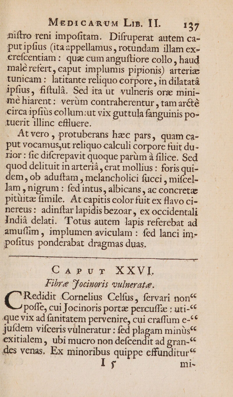 aüftro reni impofitam. Difruperat autem ca- put ipfius (itazppellamus, rotundam illam ex- €refcentiam : qua cum anguftiore collo , haud malé refert, caput implumis pipionis) arteriae tunicam: latitante reliquo corpore, in dilatatá ipfius, fiftulà. Sed ita ut. vulneris ors mini- méhiarent: verüm contraherentur , tam arcté circa 1pfiüs collum:ut vix guttula fanguinis po- tuerit illinc efluere. ;  | At vero , protuberans hzc pars, quam ca- put vocamus,ut reliquo calculi corpore fuit du- rior : fic difcrepavit quoque parüm à filice. Sed quod delituit in arterià , erat mollius : foris qui- dem, ob aduftam , melancholici fucci , mifcel- lam , nigrum : fed intus, albicans, ac concreta pitüitze fimile. At capitis color fuit ex flavo ci- nereus: adinflar lapidis bezoar, ex occidentali Indià delati. Totus autem lapis referebat ad amufüm, implumen aviculam : fed lanci im- pofitus ponderabat dragmas duas. C AR UT. XXVI. Fibre Jfocinoris vulnerata. poen Cornelius Celfus, fervari non poffe, cui Jocinoris portae percutfz : uti-** ue vix ad fanitatem pervenire, cui craffum e-** juídem vifceris vülneratur : fed plagam minus( exitialem, ubi mucro non defcendit ad gran-* dcs venas. Ex minoribus quippe cffunditur* I g mi-