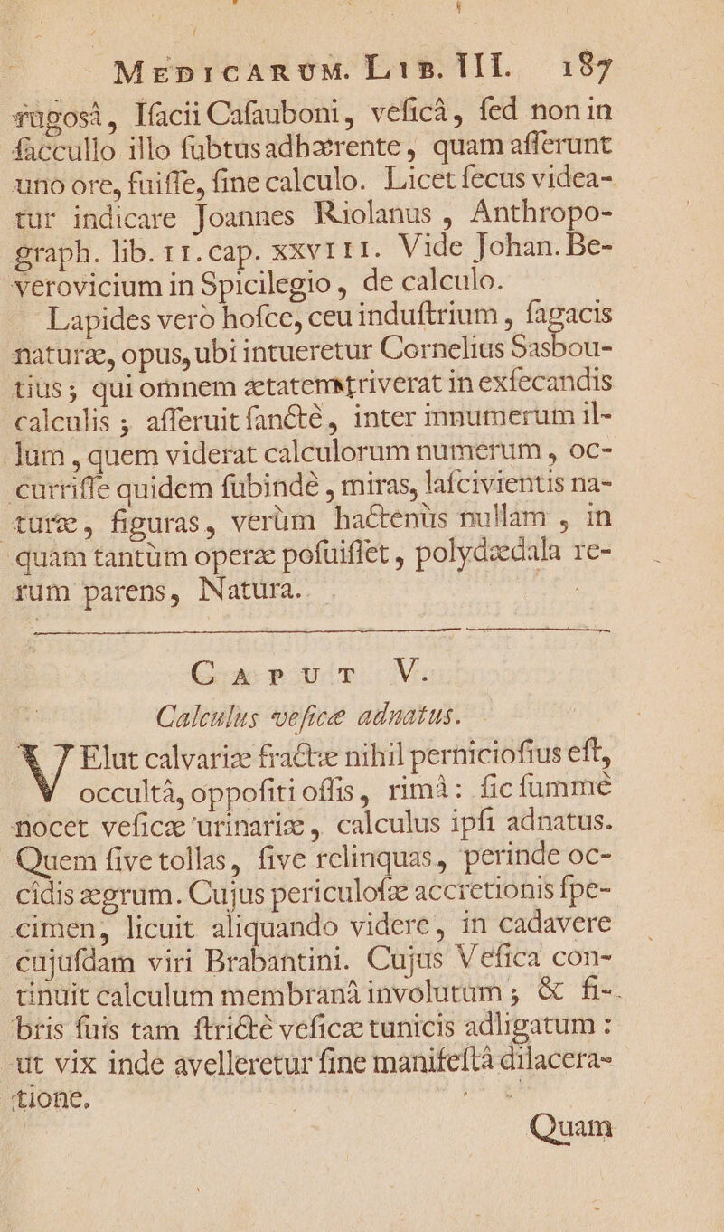 ' MrEpicAnoM. Lis.TII. 3187 4ugosi, lacii Ca(auboni, veficà, fed nonin faccullo illo fubtusadhaxrente, quam afferunt uno ore, fuiffe, fine calculo. Licet fecus videa- tur indicare Joannes Ruüolanus , Anthropo- graph. lib. 11. cap. xxvrri. Vide Johan. Be- verovicium in Spicilegio , de calculo. Lapides veró hofce, ceuinduftrium, hoa naturz, opus, ubi intueretur Cornelius Sasbou- tius; qui ornnem actatemriverat in exfecandis calculis ; afferuit fanCcté , inter inmumerum il- lum , quem viderat calculorum numerum , oc- curriffe quidem fübind , miras, lafcivientis na- tur, figuras, verüm hactenüs nullam , in quam tantüm operze pofuiffet , polydaedala re- rum parens, Natura. | Gaxrur V. | Calculus *veficee adnatus. X 7 Elut calvariz fractve nihil perniciofius eft, occultá, oppofitioffis, rimi: fic fumme nocet vefice urinariz , calculus ipfi adnatus. Quem fivetollas, five relinquas, perinde oc- cidis grum. Cujus periculofz accretionis fpe- cimen, licuit aliquando videre, in cadavere cujufdam viri Brabantini. Cujus Vefica con- tinuit calceulum membraniinvolutam ; &amp; fi-. bris fuis tam ftricté veficae tunicis adligatum : ut vix inde avelleretur fine manifeftà dilacera- «tione, , | | Quam