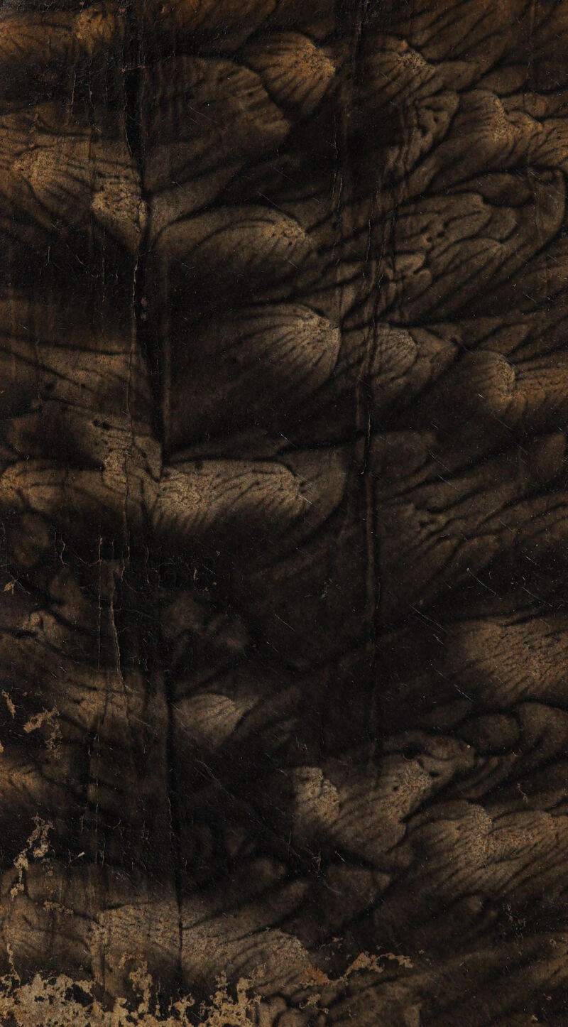 No text description is available for this image