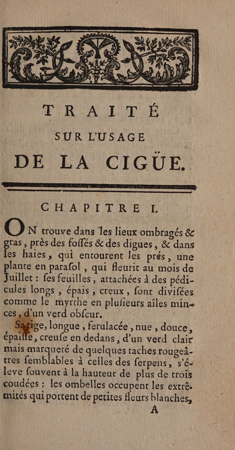 ŒYREA LITE SUR L'USAGE DE LA CIGUE. CR A DA TRE UT, O N trouve dans les lieux ombragés &amp; gras , près des foifés &amp; des digues, &amp; dans les haies, qui entourent les prés, une plante en parafol , qui fleurit au mois de Juillet : fes feuilles, attachées À des pédi- cules longs , épais , creux , font divifées comme le myrche en plulieurs aîles mins ces, d’un verd obfcur. 19e, longue , ferulacée , nue, douce, épalle, creufe en dedans, d’un verd clair mais marqueté de quelques taches rougeä- tres femblables À celles des ferpens, s'é- leve fouvent à la hauteur de plus de trois coudées : les ombelles occupent les extrè. mités qui portent de petites leurs blanches, A