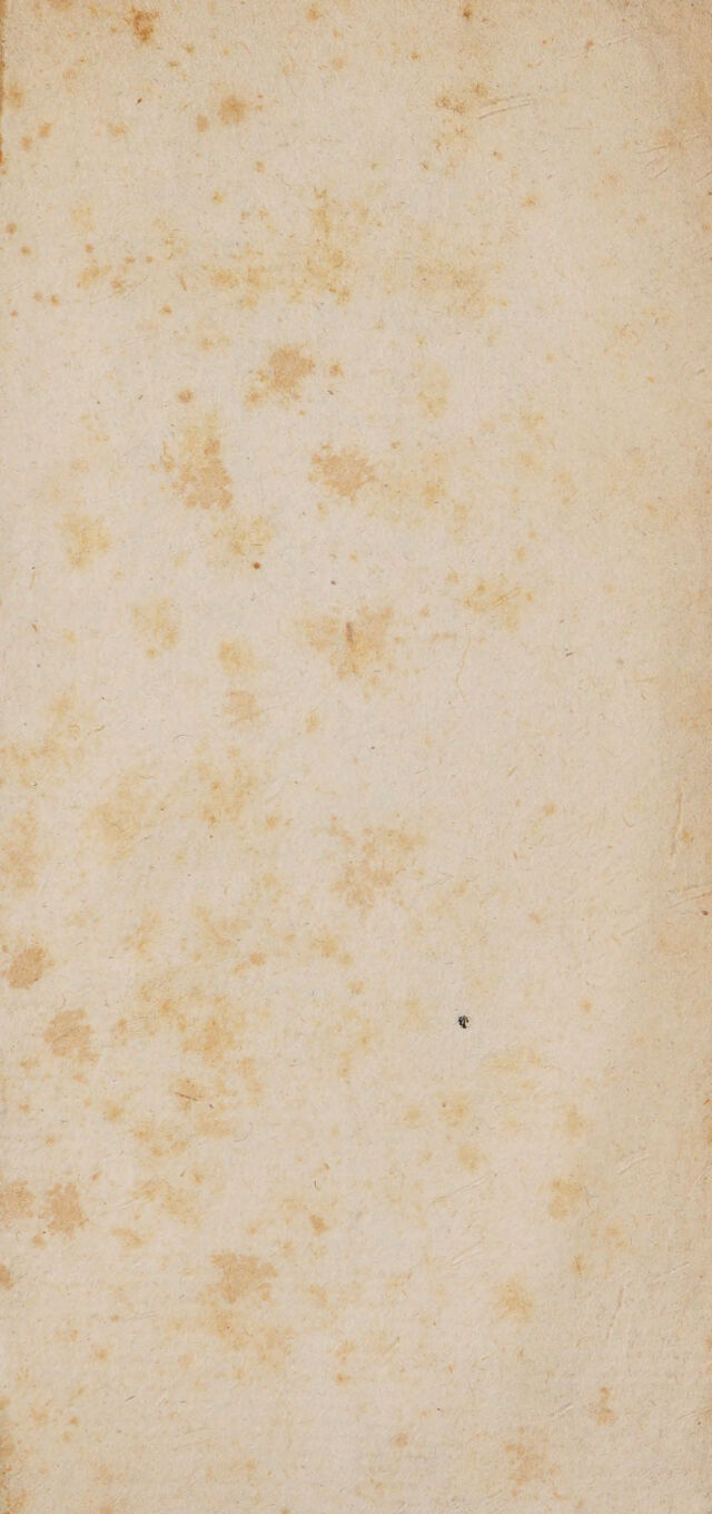 digitised image 3