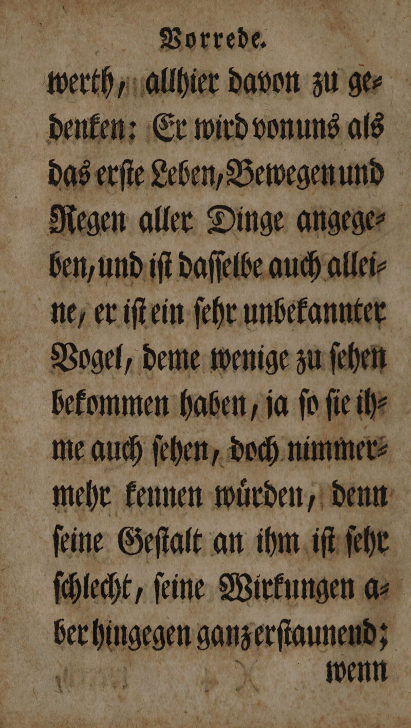 werth, allhier davon zu ge⸗ denken: Er wird vonuns als das erſte Leben, Bewegen und Regen aller Dinge angege⸗ ben, und iſt daſſelbe auch allei⸗ ne, er iſt ein ſehr unbekannter Vogel, deme wenige zu ſehen bekommen haben, ja ſo fie ih⸗ me auch ſehen, doch nimmer⸗ mehr kennen wuͤrden, denn ſeine Geſtalt an ihm iſt ſehr ſchlecht, ſeine Wirkungen a⸗