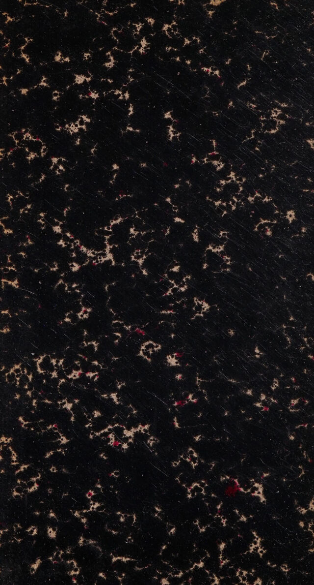 digitised image 2