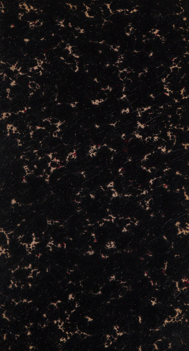 digitised image 3
