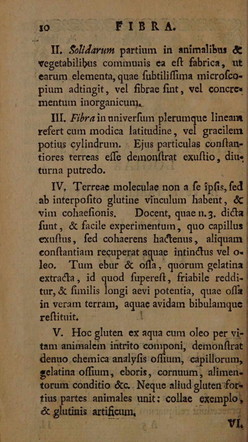 IL. Solidavum partium in animalibus &amp;&amp; vegetabilibus communis ea eft fabrica, ut | earum elementa, quae fubtiliffima microfco- pium adtingit, vel fibrae fint, vel concre« mentum inorganicum, III. Fibrain univerfum plerumque lineam vefert cum modica latitudine, vel gracilem potius cylindrum. . Ejus particulas conftan- tiores terreas effe demonflrat exuflio, dius. turna putredo. : | IV, T'erreae moleculae non a fe ipfis, fed | .ab interpofito glutine vinculum habent, &amp; | vim cohaefionis, ^ Docent, quae n.5. dicta fuut, &amp; facile experimentum, quo capillus | exuftus, fed cohaerens hactenus, aliquam. conftantiam recuperat aquae intinctus vel o« | leo. 'Tum ebur &amp; of. quorum gelatina | extracta, id quod fuperefl, friabile reddi- tur, &amp; fimilis longi aevi potentia, quae offa | in veram terram, aquae avidam bibulamque reftituit, : V. Hoc gluten ex aqua cum oleo per vi-. tam animalem intrito componi, demonflrat. denuo chemica analyfis offium, capillorum, | sclatina offium, eboris, cornuum, alimen« torum conditio &amp;c. . Neque aliud gluten fors | tius partes animales unit: collae exemplo, &amp; glutinis artificum, — ; bs sorge vi