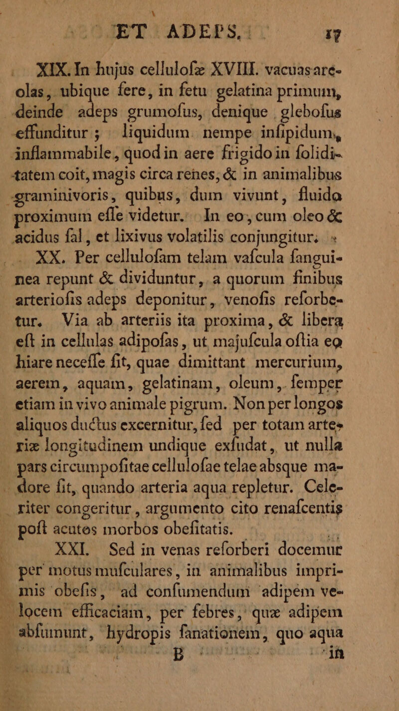 XIX. In hujus cellulofz XVIII. vacuasare- olas, ubique fere, in fetu. gelatina primum, effunditur ; liquidum. nempe infipidum, «tatem coit, magis circa renes, &amp; in animalibus proximum effe videtur. |. In eo, cum oleo &amp; acidus fal , et lixivus volatilis conjungitur. « XX. Per cellulofam telam vafcula fangui- nea repunt &amp; dividuntur, a quorum finibus arteriofis adeps deponitur, venofis reforbe- tur. Via ab arteriis ita proxima, &amp; libera eft in cellulas adipofas , ut majufcula oflia eo hiare neceffe fit, quae. dimittant mercurium, aerem, aquam, gelatinam, oleum,. femper etiam in vivo animale pigrum. Non per longos aliquos ductus excernitur,fed per totam arte» rix longitudinem undique exfudat, ut nulla pars circumpofitae cellulofae telae absque ma- poft acutes morbos obefitatis. - E XXL Sed in venas reforberi docemur per motus mufculares, in animalibus impri-