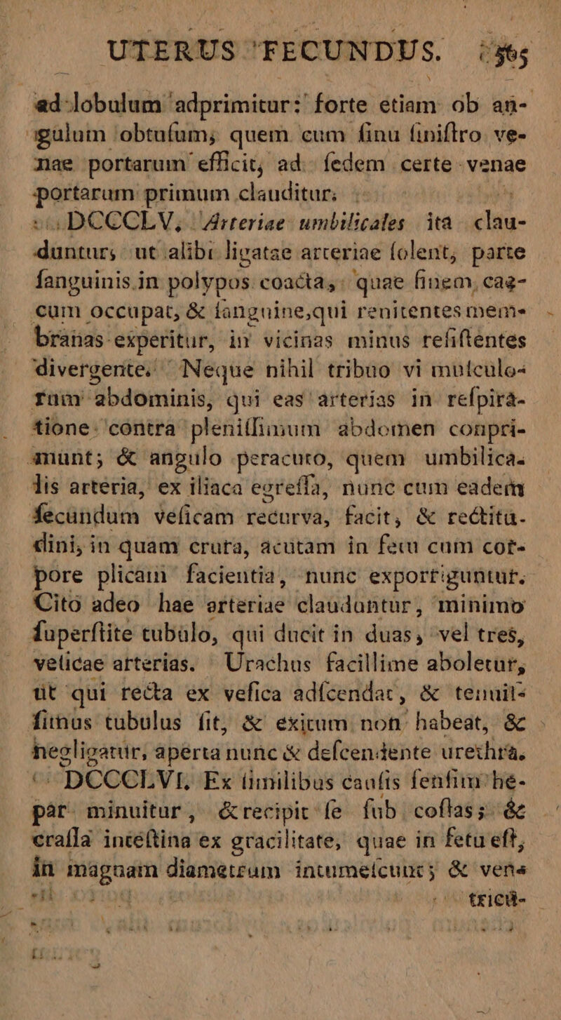 ied doboludá ludorimiceed forte etiam: ob ii^ agulum 'obtufum; quem. cum finu finiflro. ve- mae portarum efficit; ad.- fedem certe. venae Ly aridi primum clauditur; : so DCCCLV, | Arteriae: umbilicales | ità vid dínsitos ut alibi ligatae arteriae folent, parte fanguinis.in polypos coacta, quae finem, cag- cum occupat, &amp; languine;qui renitentes meme branas- experitur, iv vicinas minus refiftentes divergente. Neque nihil tribuo vi mutculo« rümr abdominis, qui eas ' arterías in refpira- tione: contra pleni([iinum abdomen conpri- 3nünt; &amp; angulo peracuro, quem | umbilica. lis arteria, ex iliaca eereffa, nunc cum eadem Sácünduca véficam recurva, facit, &amp; reckita. dini, in quam crura, acutam in fecu cum cort- pore plicam facientia, nunc exportiguntut, Cito adeo hae atteride clauduntur, minimo fuperflite tubülo, qui ducit in duas; vel tres, velicae arterias. ^ Urachus facillime aóleciti, üt qui recta ex vefica adfcendat , &amp; tenuit- firnus tubulus fit, &amp; exitum. not habeat, &amp; - hegligatur, aperta nunc &amp; defcendente urethra, '^ DCCCLVI. Ex (imilibus caufis fenfim he- pàr minuitur, &amp;recipit fe fub. coftas;. &amp; craí]a in&amp;eótin ex gracilitate, quae in fetu eft; in maguam diametrum intumelcunt 5 &amp; vens oo 4 (c fric- [2 - í r E &amp; VEN ae kv LES a wx d - ERU