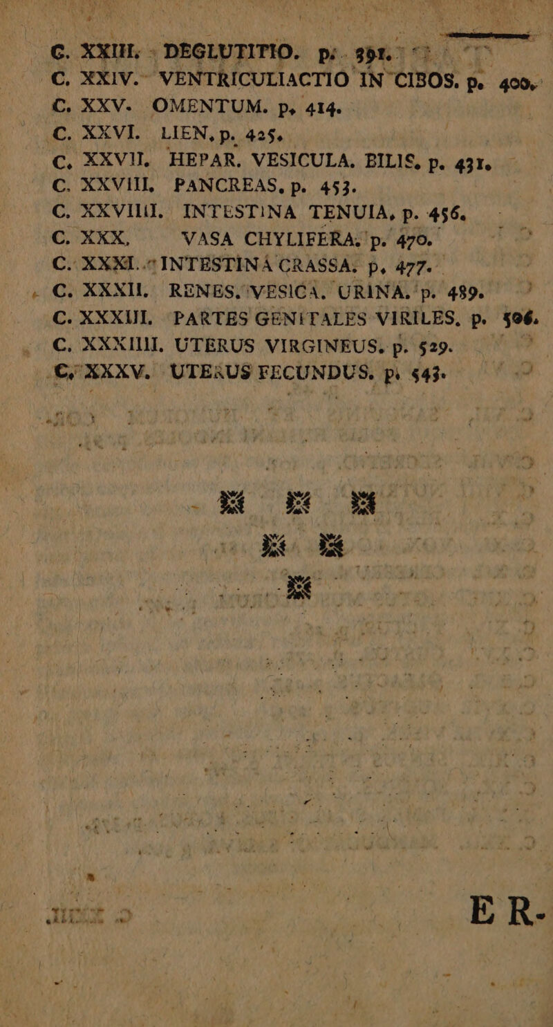C. XXIH, - DEGLUTITIO. p;. $91. o 5 SUM aC, XXIV. VENTRICULIACTIO: IN CI80s. p. 409. C. XXV. OMENTUM. p. 414. C. XXVI. LIEN, p. 425, C. XXVII. HEPAR. VESICULA. PILI£, p. 431. — C. XXVIIL PANCREAS, p. 453. C. XXVIHI. INTESTINA TENUIA, p. 456. C. XXX, VASA CHYLIFERA. p. 470. C. XXXI..^INTESTINÁ CRASSA. p, 477... C. XXXIll. RENES, VESICA. URINA. p. 489. ^ C. XXXIIL PARTES GENITALES VIRILES, p. $o6. , €, XXXIII. UTERUS VIRGINEUS., p. $29. CQ XXXV. UTERUS FECUNDUS. p. $45 £9 IW E R- LET LL MEL , M