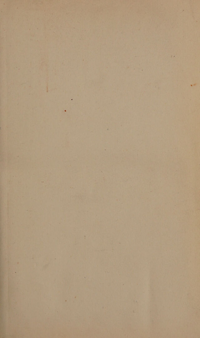 digitised image 3