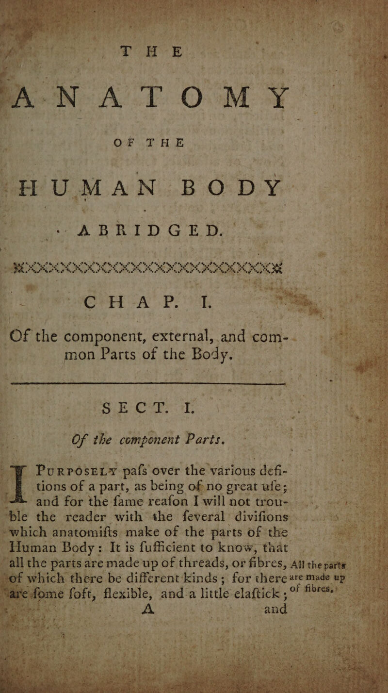 ANATOMY “HUMAN BODY. “ABRIDGED. } wP OE OM eM hy P Mel Maa al Meal ta Mel taal ‘hen. ROSA, NOAA S260 oP teat tea eee ” Pic WW eOPEE “AYP. “St “Of the component, external, and com- dhs ‘s mon Parts of the Body. eG Sib Cur iT. of the component Parts. Pu RPO SELY. pats over the various defi- tions of a part, as being of:no greatufe; and for the fame reafon I will not trou-. =... > “ble the reader with the feveral divifions 9s — which anatomifts make of the parts of the — ba te Human Body: It is fufficient to know, that ee p all the parts are made up of threads, or fibres, All the sie of which there be different kinds ; for there #e made up dome foft, flexible, and. a » little elaftick ; of seine : A eT ay and ue