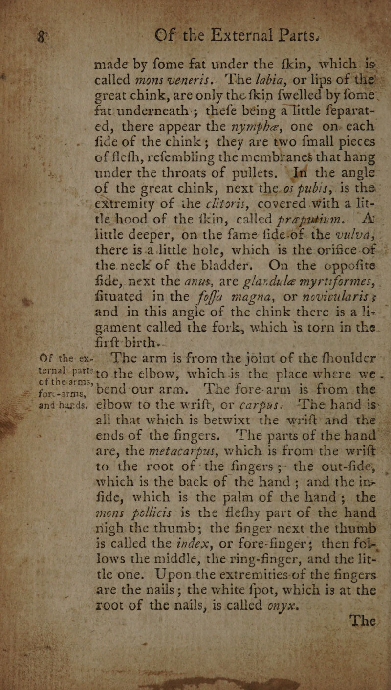 made by fome fat under the fia; which is. a called mons veneris.. The labia, or lips of eke bas 5 great chink, are only the fkin fwelled by fome. Bet fat underneath’; ; thefe being a little feparat- ed, there appear the nymphe, one on each 4 fide of the chink; they are two fmall pieces moe. - of flefh, refembling the membranes that hang 3 | under the throats of pullets, “In the angle of the great chink, next the.os ‘pubis; is tha’ “ eXtremity of ihe clitoris, covered with a lit- tle hood of the ikin, called prapatium.. At little deeper, on the fame fidetof. the vulva, . there is.a.little hole, which is the orifice of | the. neck of the bladder. On the oppofite Pe, fide, next the anus, are glaxdule myrtiformes, . | fituated in the foffé magna, or novicularis and in this angie of the chink there is a lt--_ gament called the fork, which is torn in the. firft birth. - Of the ex-- The arm is from the joint of the fhoulder- othe saab to the elbow, which-is the place where we - - forc-arms, bend-our arm, The fore-arm is from .the “= andhbards. elbow to the wrift, or carpas, “The hand is- all that which is te liwviat the wrift'and the . ends of the fingers. ‘The parts of the sab: are, the metacarpus, which is from the wrift™ ay to the root of the fingers ;- the out-fide, : which is the back of the hand ; ; and the in- fide, which is the palm of the hands +. the mons pollicis is the flefhy part of the hand nigh the thumb; the finger next the thumb is called the index, or fore-finger; then fol. lows the middle, the ring-finger, and the lit- tle one. Upon the extremities-of the fingers. are the nails; the white fpot, which is at the © root of the nails, is called onyx. ante 42 <i ne} 3