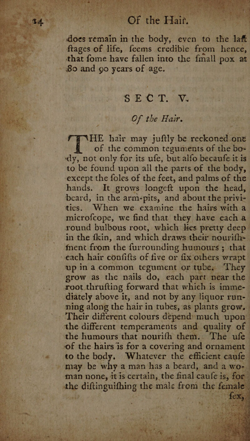 s does remain in the Hoty: even to a laft ftages of life, feems credible from hence, that fome have fallen into the fmall pox at - 80 and go years of age. $ E.O:T, wv: Of the Hair. HE hair may juftly be reckoned one of the common teguments of the bo= dy, not only for its ufe, but alfo becaufe it is to be found upon all the parts of the body, except the foles of the feet, and palms of the hands. It grows longeft upon the head, beard, in the arm-pits, and about the privi- tics. When we examine the hairs with a microfcope, we find that they have eacha round bulbous root, which Mes pretty deep in the fkin, and which draws their nourifh- fent from the fur rounding humours ; that each hair confifts of five or fix others wrapt up in a common tegument or tubey. ‘They grow as the nails do, each part near the root thrufting forward that which is imme- diately above it, and not by any liquor run- ning along the hair in tubes, as plants grow. - Their different colours depend:much upon the different temperaments and quality of the humours that nourifh them. - The. ufe- of the hairs is for a covering and ornament to the body. Whatever the efficient caufe may be why a man has a beard, and a wo- man none, it Is certain, the final caufei is,