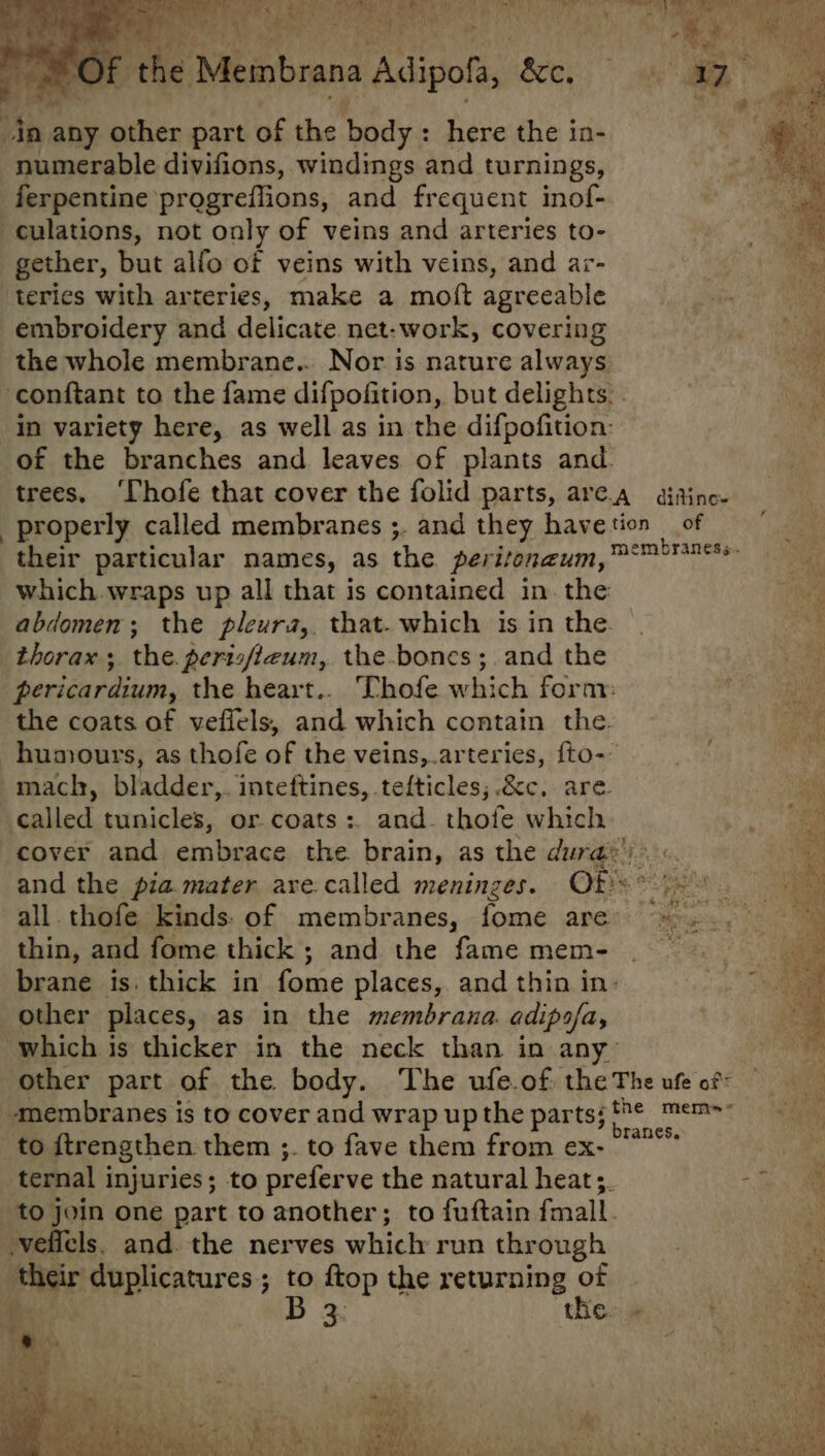 numerable divifions, windings and turnings, ferpentine progreffions, and frequent inof- gether, but alfo of veins with veins, and ar- teries with arteries, make a moft agreeable embroidery and delicate net: work, covering the whole membrane... Nor is nature always in variety here, as well as in the difpofition: of the branches and leaves of plants and. trees, their particular names, as the peritoneum,™ which. wraps up all that is contained in sae abdomen; the pleura, that. which is in the. pericardium, the heart.. Thofe which form: the coats of vefiels, and which contain the. humours, as thofe of the veins,.arteries, {fto- mach, bladder,. inteftines, tefticles; &amp;c. are called tunicles, or coats: and. thofe which and the pia mater are.called meninges. all. thofe kinds: of membranes, fome are thin, and fome thick ; and the fame mem- brane is. thick in fome places, and thin in- other places, as in the membrana. adipsfa, which is thicker in the neck than in any” of mbraness. _to fave them from ex- ternal injuries; to prefer ve the natural heats. to fuftain fmall. B 3. the.