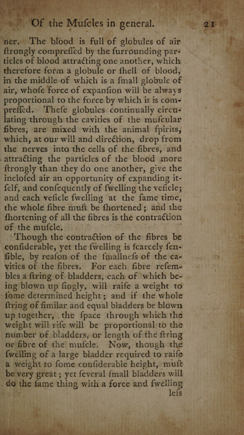 ‘ftrongly comprefled by the furrounding par- ticles of blood attracting one another, which therefore form a globule or fhell of blood, in the middle of which is a fmall globule of proportional to the force by which it is coms preffled. Thefe globules continually circu lating through the cavities of the mufcular fibres, are mixed with the animal fpirits, which, at our will and direction, drop from the nerves into the cells of the fibres, and attracting the particles of the blood more ftrongly than they do one another, give the inclofed air an opportunity of expanding it- and each veficle {welling at the fame time, the whole fibre muft be fhortened; and the fhortening of all the fibres is the contraction of the mufcle. ‘Though the contraction of the fibres be ‘confiderable, yet the {welling is {carcely fen- fible, by reafon of the {mallnefs of the ca- vities of the fibres. For each fibre refem- bles a firing of bladders, each of ‘which be- ing blown up fingly, will raife a weight to -fome determined height; and if the whole ‘ftring of fimilar and equal bladders be blown up together, the fpace through which the number of bladders, or length of the ftring or fibre of the’ mufcle, N ow, though the -fwelling of a large bladder required to raife a weight to fome confiderable height, muft Nate. great; yet feveral {mall bladders will ae fame thing with a force and ogee efs