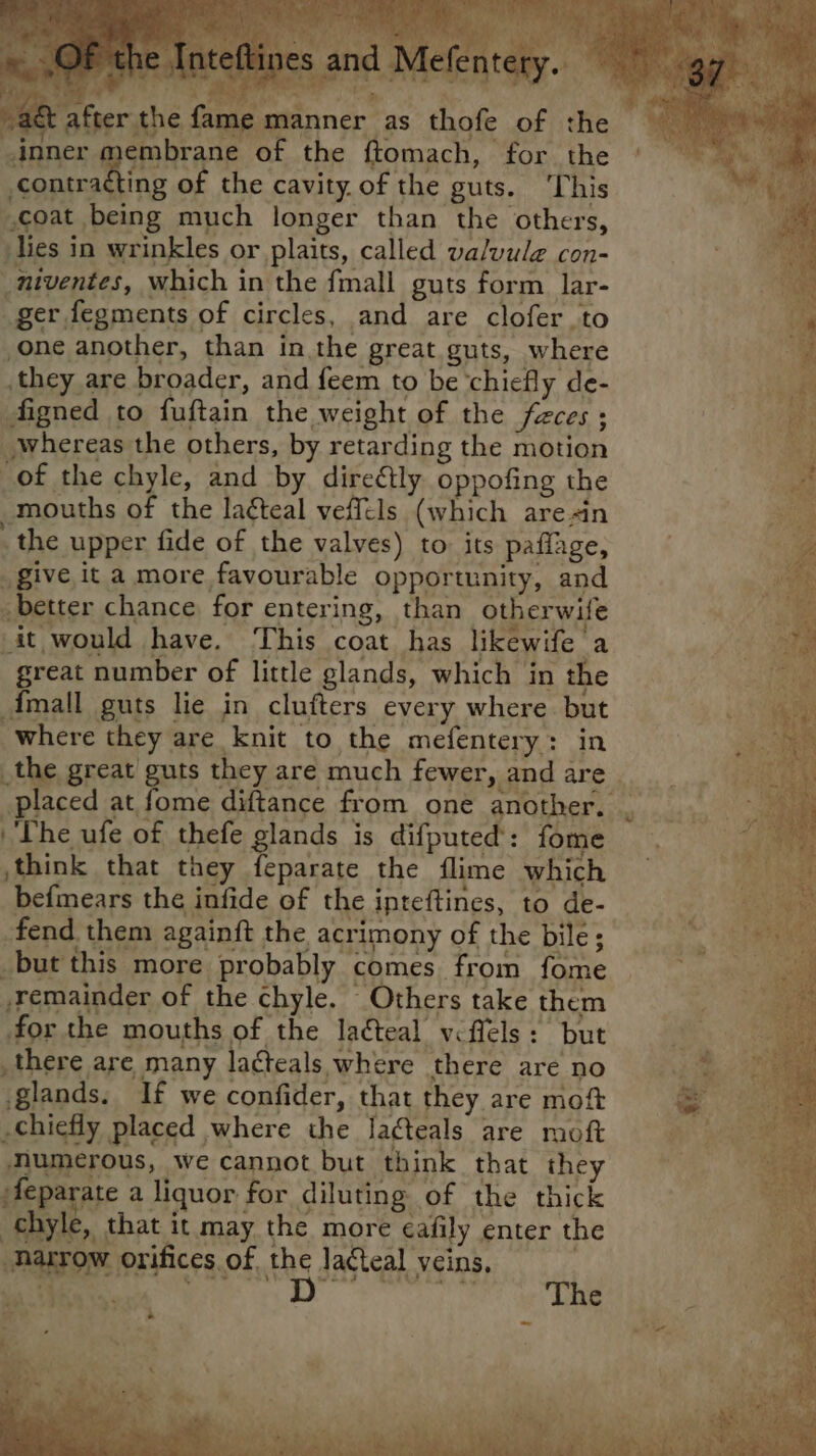 = ra ws ¢ iia inner membrane of the ftomach, for the contracting of the cavity. of the guts. This .coat being much longer than the others, lies in wrinkles or plaits, called valvule con- _niventes, which in the fmall guts form lar- ger fegments of circles, and are clofer to one another, than in the great guts, where they are broader, and feem to be ‘chiefly de- digned to fuftain the weight of the feces ; whereas the others, by retarding the motion of the chyle, and by. direétly oppofing the mouths of the laéteal vefftls (which are in _the upper fide of the valves) to: its paflage, _ give it a more favourable opportunity, and better chance for entering, than otherwife it would have. This coat has likewife a great number of little glands, which in the Amall guts lie in clufters every where but where they are knit to the mefentery: in The ufe of thefe glands is difputed’: fome think that they feparate the flime which befmears the infide of the ipteftines, to de- fend them againft the acrimony of the bile; _but this more probably comes from fome remainder of the chyle. Others take them for the mouths of the ladteal vflels: but there are many lacteals where there are no glands. If we confider, that they are moft chiefly placed where the Ja¢teals are moft Mumerous, we cannot but think that they Aeparate a liquor for diluting of the thick chyle, that it may the more cafily enter the “narrow orifices of the lacteal veins, Ra eee cena ee The we? ow Pn