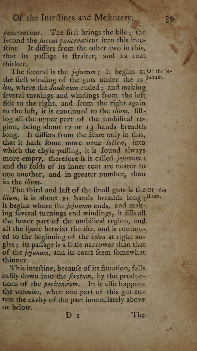 Aorenbiine..'T The firt britigs ie bile ; the ‘fecond the fuccus pancreaticus into this inte- ftine It differs from the other two in this, that its paflage is ftraiter, and its coat thicker, . The fecond is the jejunum; it begins atOf the je- a the firft winding of the guts ‘under the co isu ae lon, where the duodenum ended ; and making, ‘4 feveral turnings and windings from) the left a fide to the right, and from the right again  to the left, it is continued to the sium, fill- ing allthe upper part of the umbilical re- gion, being about 12 or 13 hands breadth: long. _ It differs from the i/ium only in this, o | that it hath fome more vene laéiez, into ne which the chyle paffing, it is found always more empty, therefore it is called jejunum : and the folds of its inner coat are nearer to. one another, and in greater number, than in the lium. The third. and laft of the {mall guts is the of the: ilium, i is about 21 hands breadth long ; 3 dlium, it begins where the jesunum ends, and mak- _ ing feveral turnings and windings, it fills all the lower part of the umbilical region, and. all the fpace betwixt the i/ia, and is continu-, ed to the beginning of the colon at right an- gles; its paflage is a little narrower than that | aig of the yeyunum, and its coats feem fomewhat thinner. 3 This inteftine, becaufe of its fituation, falls cafily down into'the /crotum, by the produc- tions of the peritoneum. In it alfo happens the volvulus, when one part of this gut en- ters the cavity of the part immediately above. or below.