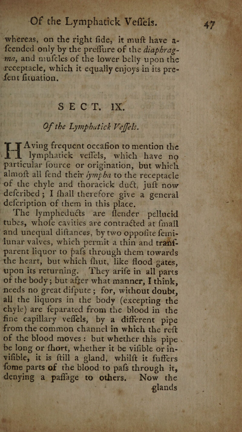 : Of ‘the Lymphatick Veltels. whereas, on the right fide, it muft have a- {cended only by the preffure of the diaphrag- “ma, and mufcles of the lower belly upon the receptacle, which it equally enjoys in its pre- fent fituation. SECT. 1x on Of the Lymphatick Veffels. Me H Aving frequent occafion to mention the ae am | lymphatick veffels, which have no» ye particular fource or origination, but which eae almoft all fend their /ympha to the receptacle te of the chyle and thoracick du&, juft now - “defcribed ; I thall therefore give a general ce defcription of them in this place. “A The lympheduéts are flender pellucid ‘tubes, whofe cavities are contracted at {mall ae and unequal diftances, by two oppofite femi- | my lunar valves, which permit a thin and tranf- ie parent liquor to pafs through them towards a the heart, but which fhut, like flood gates, Ri upon its returning. ‘They arife in all parts Bhi of the body; but after what manner, I think, 7 needs no great difpute; for, without doubt, all the liquors in the body (excepting the chyle) are feparated from the blood in the . fine capillary veflels, by a different pipe Zz from the common channel in which the reft 5: of the blood moves: but whether this pipe . : be long or fhort, whether it be vifible or in- : vifible, it is ftill a gland, whilft it fuffers SEE: fome parts of the blood to pafs through it, | denying a paffage to others. Now the “a abi 4 glands ae » re Be ae ‘yy . u ae % — ae = eau | ely Tk ae Pe, eat Oh le a Mg Sr ie OR Gime eT oR aes