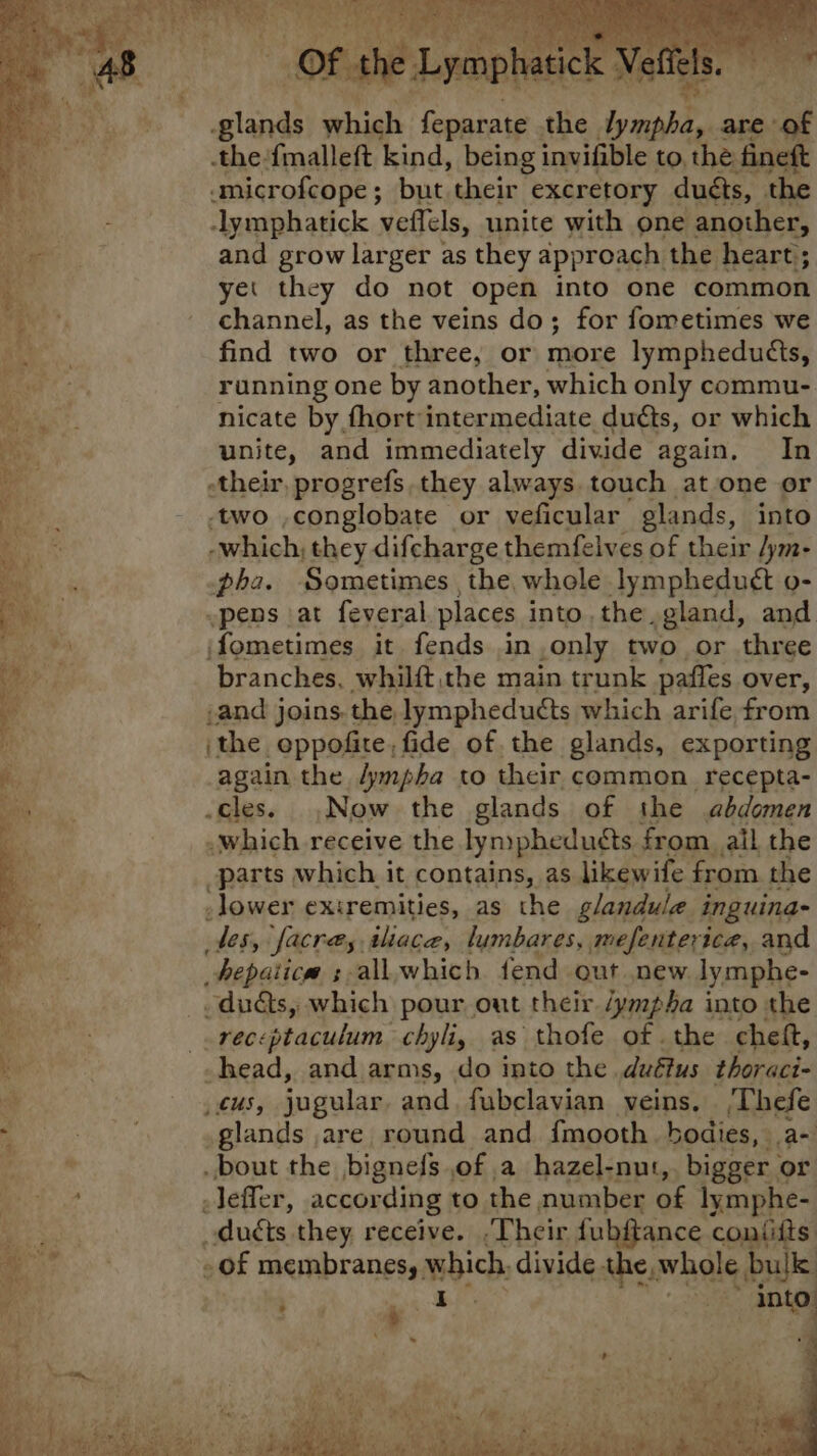 otad, Lymp -glands which less the Fite 3 are of Sani {malleft kind, being invifible to, the fineft -microfcope; but their excretory duéts, the se -lymphatick veilels, unite with one another, oa and grow larger as they approach the heart; - yet they do not open into one common ‘ee - channel, as the veins do; for fometimes we find two or three, or mone lymphedutts, running one by another, which only commu- nicate by fhort intermediate ducts, or which unite, and immediately divide again, In their, progrefs they always. touch at one or two ,conglobate or veficular glands, into RRS -which, they difcharge themfelves of their /ym- r pha. Sometimes , the whole lympheduét o- ~pens at feveral places into, the,gland, and fometimes it fends in,only two or three 5 pty he Pee; branches, whilft,the main trunk paffes over, . ,and joins. the lympheduéts which arife from in ‘the oppofite, fide of the glands, exporting fi, again the dympha to their common recepta- Rees. .cles. Now the glands of the abdomen ‘which receive the lynpheduéts. from. all the _parts which it contains, as likewife from the lower exiremities, as the glandulae inguina- des, facrey tlace, lumbares, mefenterica, and hepatica ; all.which fend out new lymphe- duds, which pour out their /ympha into the receptaculum chyli, as thofe of the chef, oe _. head, and arms, do into the. dutius thoraci- 3 Us, jugular and. fubclavian veins. Thefe . A Sab glands are round and {mooth. bodies, .a- bout the bignefs of a hazel-nut,. bigger or : -lefler, according to the number of lymphe- _duéts they receive. ,Their fubftance contiits oof membranes, which, divide. the, whole bulk ane pin eg ~ n> 9 Us Rs Re ; ata re GN eS NPS cme si ea je ‘ae