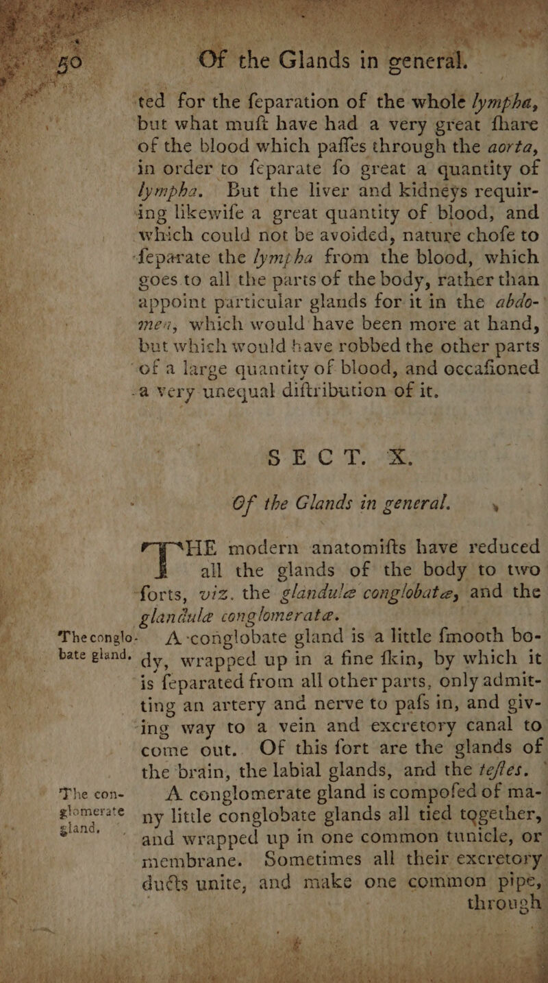 “ted for the feparation of the whole /ympha, but what muft have had a very great fhare of the blood which paffes through the aorta, Et hy in order to feparate fo great a quantity of hs lympha. But the liver and kidneys requir- ; ing likewife a great quantity of blood, and which could not be avoided, nature chofe to ‘feparate the /ympha from the blood, which goes.to all the parts of the body, rather than appoint particular glands for it in the abdo-’ men, which would have been more at hand, - but which would have robbed the other parts of a large quantity of blood, and occafioned -a very unegual diftribution of it. | SEC Tye Ee Of the Glands in general. Mm i, HE modern anatomifts have reduced Bagh all the glands of the body to two eae forts, viz. the glandule conglobate, and the “Ne glandule conglomerate. --Theconglo- A -conglobate gland is a little fmooth bo- pi Pate Eland, dy, wrapped up in a fine fkin, by which it ae is feparated from all other parts, only admit- ting an artery and nerve to pafs in, and giv- ‘ing way to a vein and excretory canal to come out. Of this fort are the glands of * the brain, the labial glands, and the tefles. ~ The con- ~~ A conglomerate gland is compofed of ma-_ glomerste ny little conglobate glands all tied together, a soa and wrapped up in one common tunicle, or membrane. Sometimes all their excretory duéts unite, and make one common pipe, de eu PEM yg hiranste