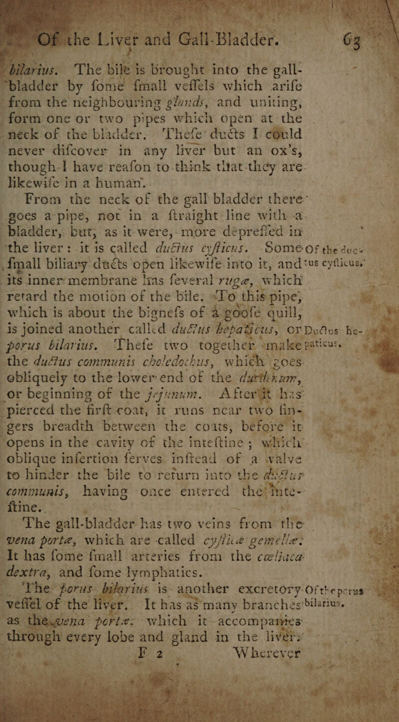 arius. The bi brought into the gall- “bladder by fome {mall veffels which arife fr ‘om the neighbouring glands, and uniting, . form one or two pipes which open at the | i neck of the bladder. 'Thefe* ducts I could Z: never difcover in any liver but an ox’s, 2 a though: I have reafon to think tltat-they are. ete _jikewife in a human... . eee: From the neck of the gall bladder there’ e ; goes apipe, not in a ftraight line with a. bladder, but, as it- were, - more déprefied i in othe liver: it is called duéius eyflicus. SOMEOfthedues {mall biliary dacs open likewife-into it, andtuscyficusy ‘its inner: membrane lias feveral rage, which ye retard the motion of the bile: «Fo “this pipe; which i is about the bignefs of a goofe quill, ‘ : is joined another called dudtus hepa Gus, OFDudes he- porus bilarius. Thefe two together smake paticuss the ductus communis choledochus, which Z0€s: obliquely to the lower end of the ducthnnm, or beginning of the jejunum. After\it has . pierced the firft- coat, it runs near two fine .. 9s gers breadth between the coats, before’ it ee “opens in the cavity of the inteftine ; which hak ns oblique infertion ferves inftead of ‘a walve ‘to hinder the bile to refurn into the didtur 7 ee communis, having once entered thevhate- yA). fine. ete ~ iC The gail- ‘bladder has two veins from the | “vena porte, which are called cy/fiie gemelle: ‘At has fome fmall arteries from the caliaca dextra, and fome lymphatics. . . 4 ‘The porus- ee is. another excretory. Oftheperas re the liver. It has a3 many bignches*biseris. ee th a es which it accomp r Bt ever} lobe and gland in the | a he UF ae. Wi RetCe gt