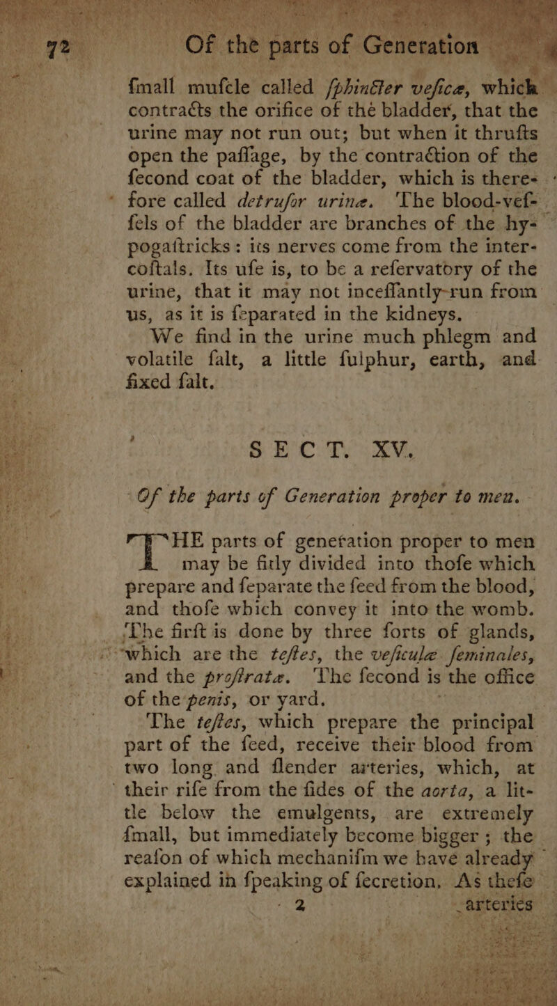 « urine may not run out; but when it thrufts open the paflage, by the contraétion of the fecond coat of the bladder, which is there- fore called detrufor urine. ‘The blood-vef- fels of the bladder are branches of the hy- pogaitricks: its nerves come from the inter- coftals. Its ufe is, to be a refervatory of the urine, that it may not inceffantly-run from: us, as it is feparated in the kidneys. We find in the urine much phlegm and volatile falt, a little fulphur, earth, and fixed falt. 6 BC: Ty xy, Of the parts of Generation proper to men. yi Ms parts of genefation proper to men may be fitly divided into thofe which prepare and feparate the feed from the blood, and thofe which convey it into the womb. ‘The firft is done by three forts of glands, and the profrate. The fecond is the office of the penis, or yard. | The teffes, which prepare fd principal part of the feed, receive their blood from two long and flender arteries, which, at tle below the emulgents, are extremely {mall, but immediately become bigger ; the reafon of which mechanifm we havé already 2 explained in Speaine of fecretion, As thefe rs 4 Se - ‘ 4 i. |
