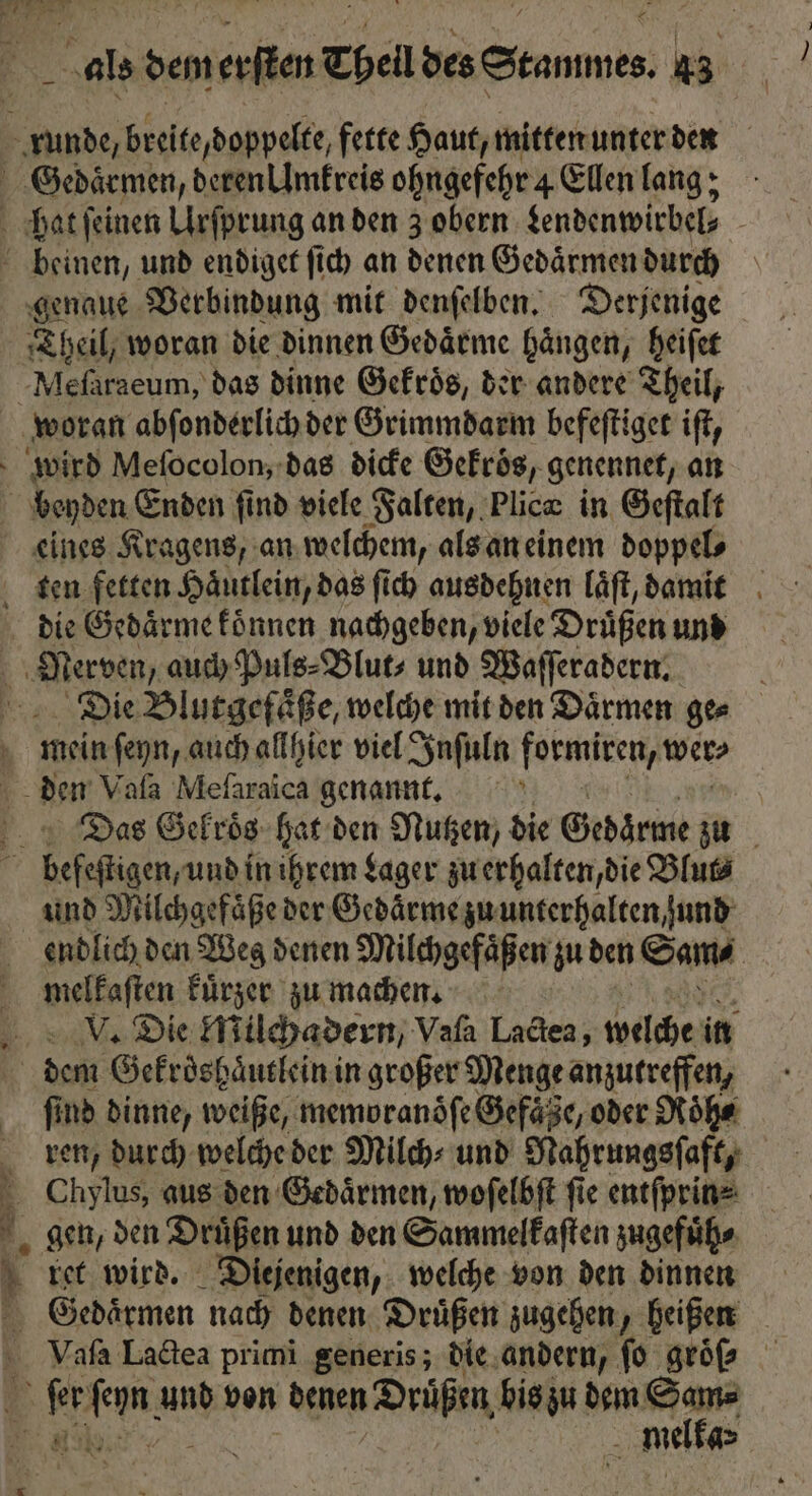 beinen, und endiget ſich an denen Gedaͤrmen durch genaue Verbindung mit denſelben. Derjenige Theil, woran die dinnen Gedaͤrme hängen, heiſet „Mel; iraeum, das dinne Gekroͤs, der andere Theil, woran abſonderlich der Grimmdarm befeſtiget iſt, beyden Enden find viele Falten, Plicæ in Geſtalt die Gedaͤrme koͤnnen nachgeben, viele Druͤßen und den, auch Puls⸗Blut⸗ und Waſſeradern. Die Blutgefaͤße, welche mit den Daͤrmen ge⸗ mein ſeyn, auch allhier viel Inſuln formiren, wer⸗ den, Vaſa Meſaraica genannt. 5 . gefeagen, und in ihrem Lager zu erhalten, die Blut⸗ und Milchgefaͤße der Gedaͤrme zu unterhalten und melkaſten kuͤrzer zu machen. dem Gekroͤshaͤutlein in großer Menge anzutreffen, ſind dinne, weiße, memoranoͤſe Gefaͤze, oder Roͤh⸗ Chylus, aus den Gedaͤrmen, woſelbſt ſie entſprin⸗ 5 melka⸗ ]