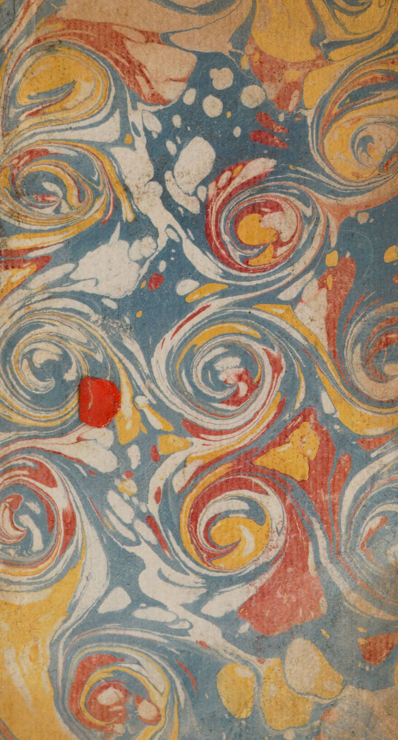 No text description is available for this image