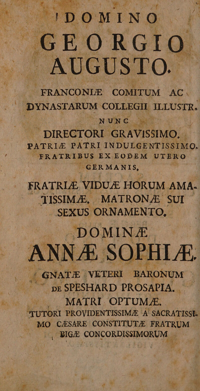 ra ue JURE Sr d^ o M T N o | 2 P. ;EORGIO. AU G UST O. | FRANCONLE COMITUM AC ; IDYNASTARUM COLLEGII ILLUSTR. x au E. ur DIRECTORI GRAVISSIMO, . PRDRUT PATRI INDULGENTISSIMO. j TRATRIBUS EX EODEM UTERO | | | GERMANIS, FRATRLE, VIDUAE HORUM AMA- JISSIMAE, MATRONJE SUI SEXUS ORNAMENTO, DOMINAE. ANNA SOPHLE | GNATE. , VETERI BARONUM | ' pE SPESHARD PROSAPIA. . s MATRI. OPTUMAE, TUTORI PROVIDENTISSIMJE A' SACRATISSI. MO CESARE CONSTITUTE FRATRUM - ^, BIG CONCORDISSIMORUM - E