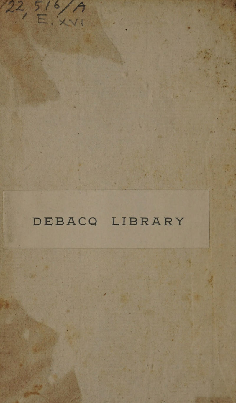 No text description is available for this image