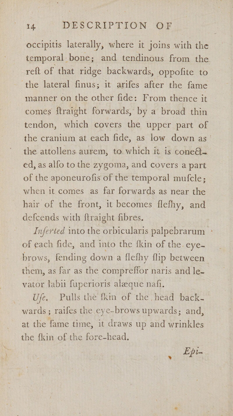occipitis laterally, where it joins with the temporal bone; and tendinous from the reft of that ridge backwards, oppofite to the lateral finus; it arifes after the fame manner on the other fide: From thence it comes ftraight forwards, by a broad thin tendon, which covers the upper part of the cranium at each fide, as low down as’ the attollens aurem, to which it is cone@- ed, as alfo to the zygoma, and covers a part of the aponeurofis of the temporal mufcle; when it comes as far forwards as near the hair of the front, it becomes flefhy, and defcends with ftraight fibres. | Inferted into the orbicularis palpebrarum - of each fide, and into the {kin of the. eye. brows, fending down a flefhy flip between them, as far as the compreffor naris and le- vator labiu fuperioris aleque nafi. Ufe, Pulls the fkin of the head back- wards ; raifes the eye-brows upwards; and, at the fame time, it draws up and wrinkles the flin of the fore- head. Epi-