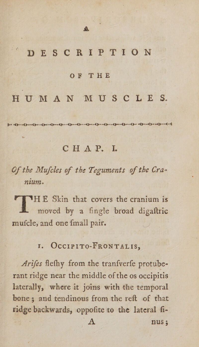 &amp; DESCRIPTION. OF THE HUMAN MUSCLE S. Dee cE pre co Preeed preo rog poses poo erg Por ee Peo eed er 10g Hos er Hee 0G Poe sod oo eG rev or Poo 0G peeve pee ek Prove seG CHAP. IL Of the Mufcles of the Teguments of the Cra- nium. HE Skin that covers the cranium is moved by a fingle broad digaftric mufcle, and one {mall pair. tr, Occipr1tTo-FRONTALIS, . Arifes flefhy from the tranfverfe protube- rant ridge near the middle of the os occipitis laterally, where it joins with the temporal bone; and tendinous from the reft of that ridge backwards, oppofite to the lateral fi- Sa A nus;