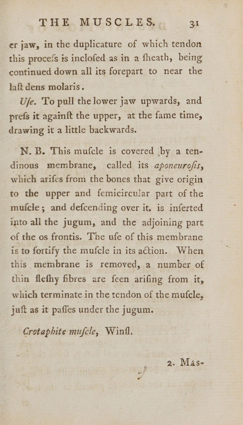 THE. MILSGLES, 3 er jaw, in the duplicature of which tendon this proce/s ts inclofed as in a fheath, being continued down all its forepart to near the laft dens molaris. Ufe. To pull the lower jaw upwards, and prefs it againft the upper, at the fame time, drawing it a little backwards. N.B. This mufcle is covered \by a ten- dinous membrane, called its aponeurofis, which arifes from the bones that give origin to the upper and femicircular part of the _ mufcle; and defcending over it, is inferted into all the jugum, and the adjoining part of the os frontis. The ufe of this membrane is to fortify the mufcle in its aCtion. When this membrane is removed, a number of thin flefhy fibres are feen arifing from it, which terminate in the tendon of the mufcle, juft as it paffes under the jugum. Grotaphite mufcle, Winll. 2. Mas-